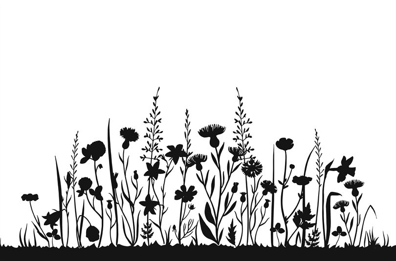 Download Wildflower silhouettes. Wild grass spring field. Herbal ...