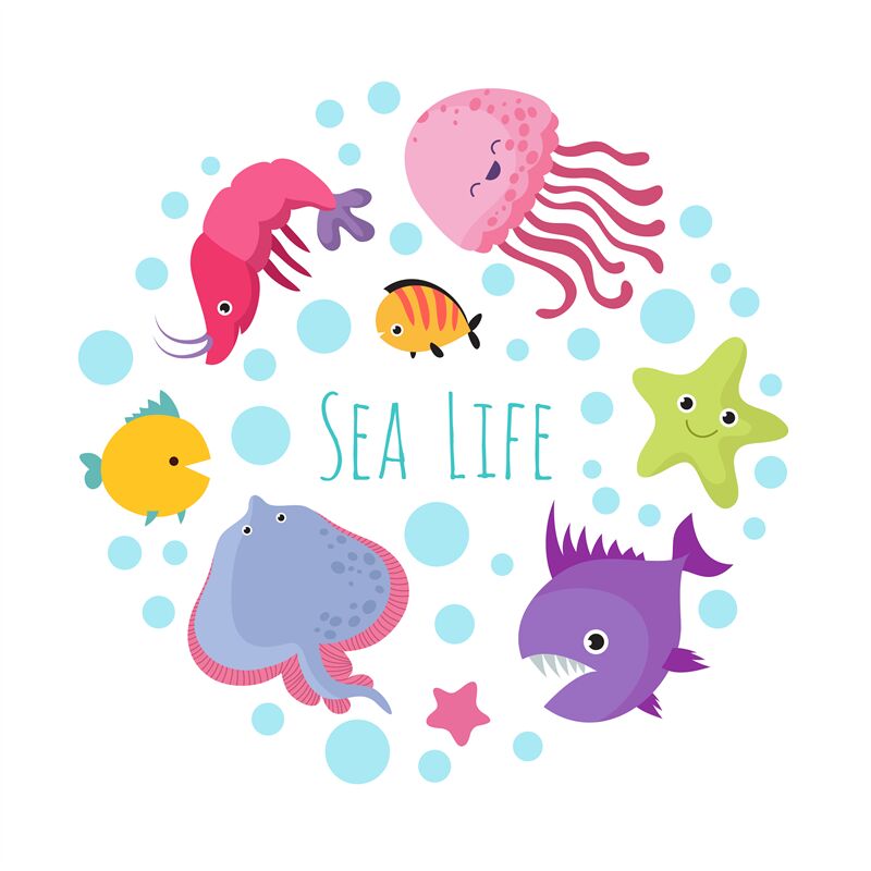 Cute cartoon sea life animals isolated on white background By