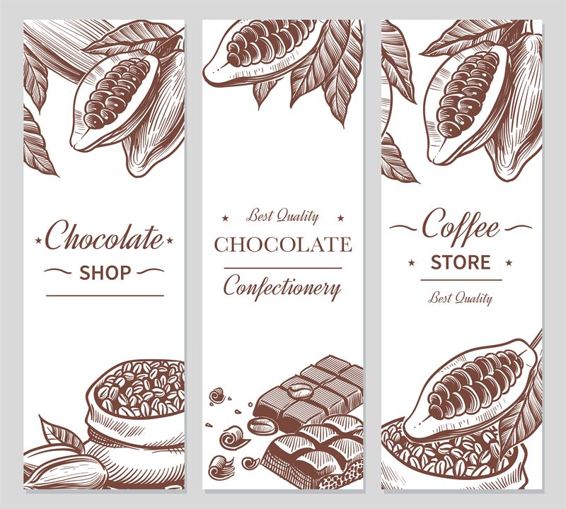 Cocoa And Chocolate Banners Sketch Cacao And Coffee Seeds Chocolate By Yummybuum Thehungryjpeg Com