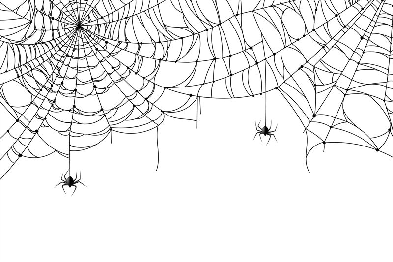 Cobweb background. Scary spider web with spooky spider, creepy arthrop By YummyBuum | TheHungryJPEG
