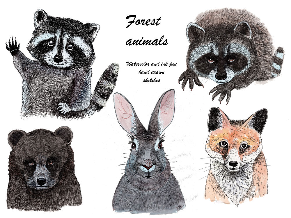Forest animals sketches By Teddy Bears and their friends | TheHungryJPEG