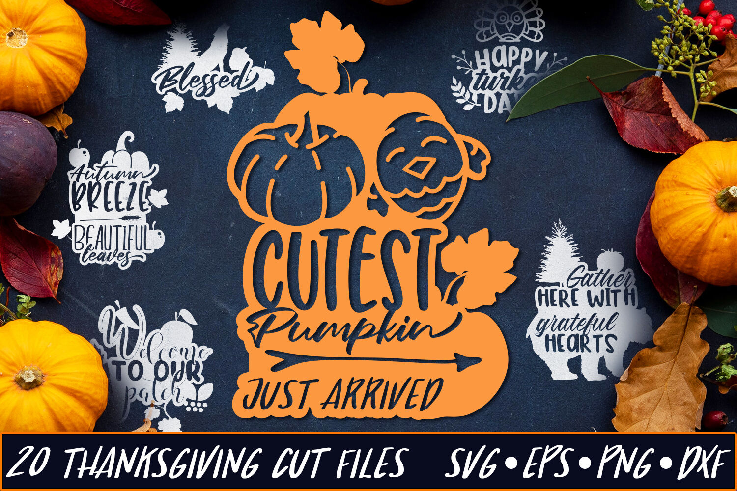 Thanksgiving SVG Quotes Bundle By Craft-N-Cuts | TheHungryJPEG