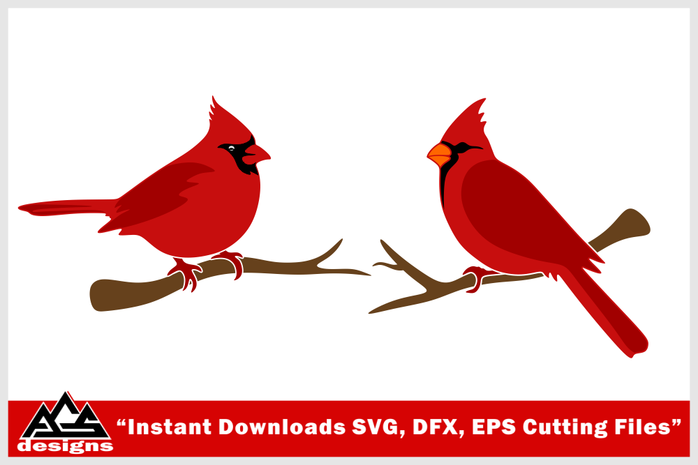 Download Bird Cardinal Svg Design By AgsDesign | TheHungryJPEG.com