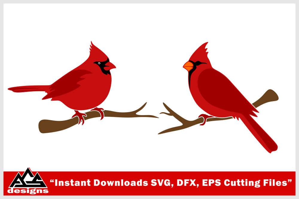 Free Free Free Cardinal Svg Cut File 862 SVG PNG EPS DXF File