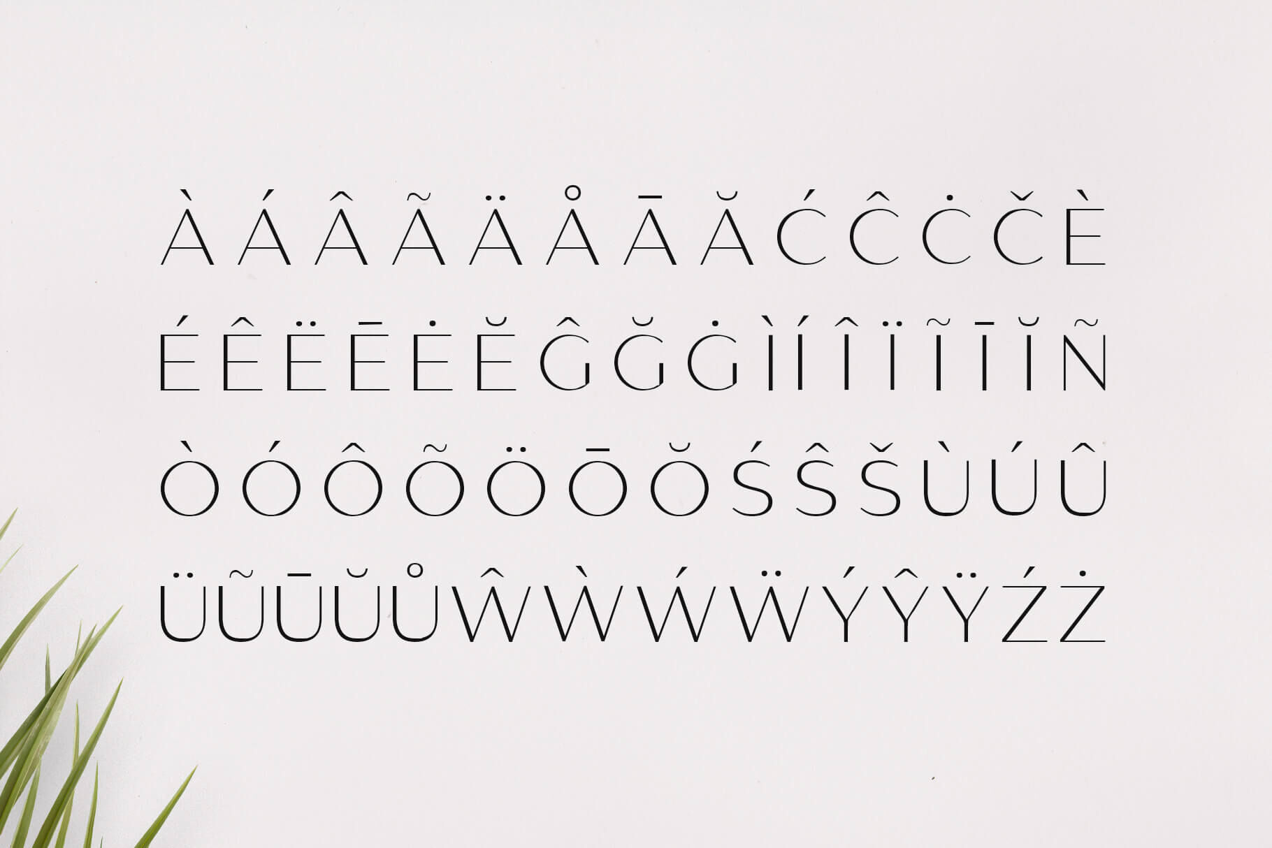 Gantic Font Family Sans Serif By Rc Graphics Thehungryjpeg Com