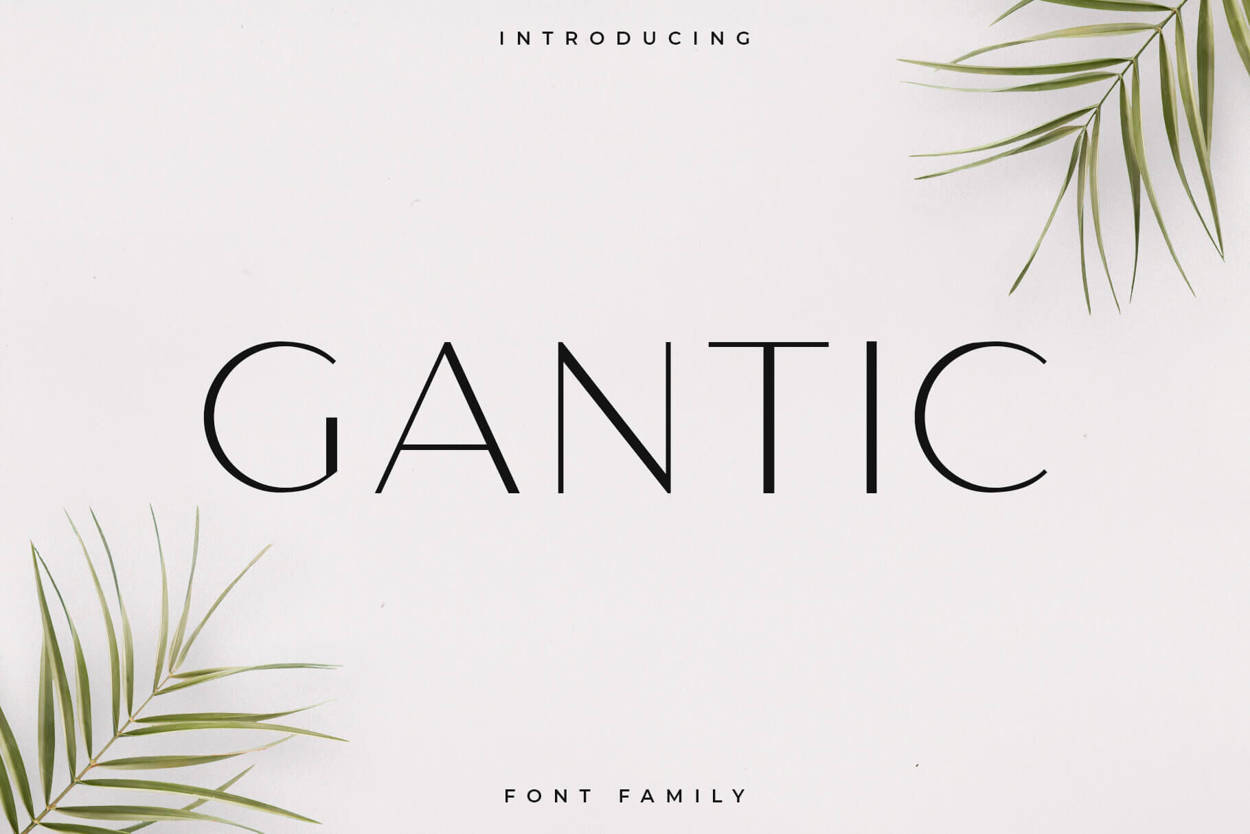 Gantic Font Family Sans Serif By Rc Graphics Thehungryjpeg Com