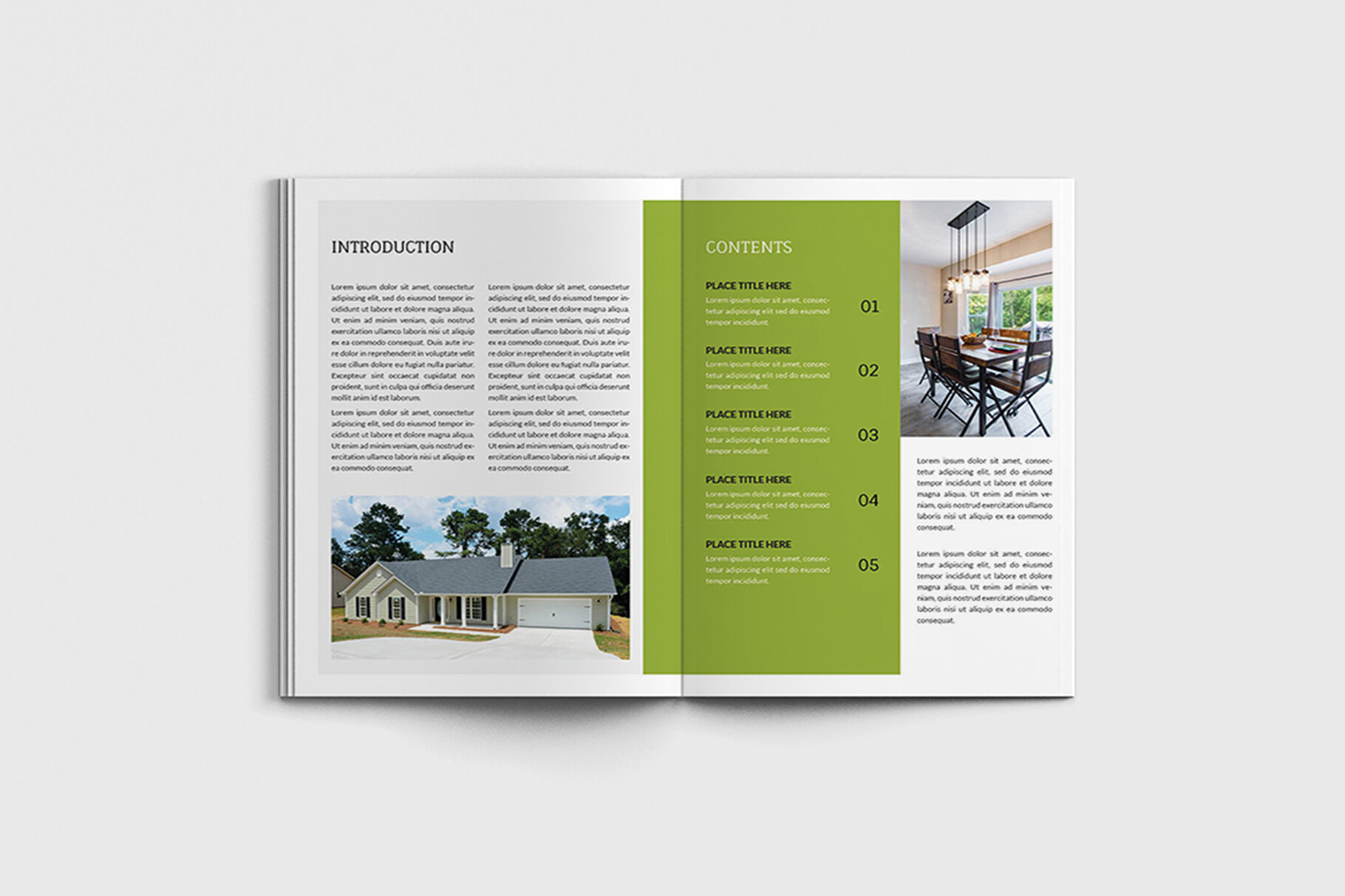 Real Estate Brochure Template from media1.thehungryjpeg.com