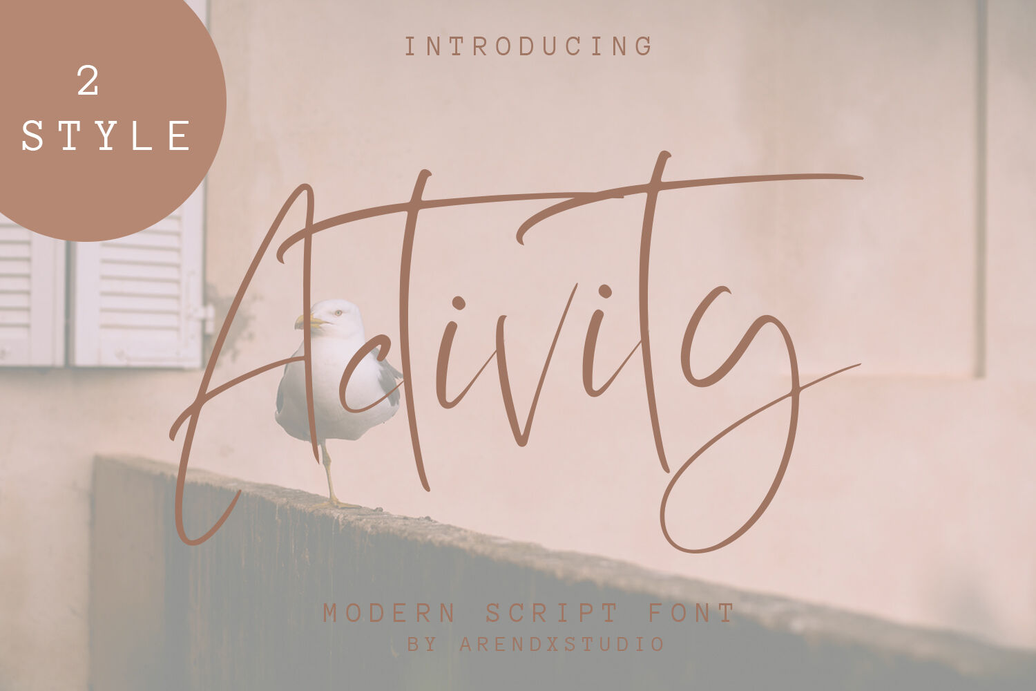 Activity Modern Script Font By Arendxstudio Thehungryjpeg Com