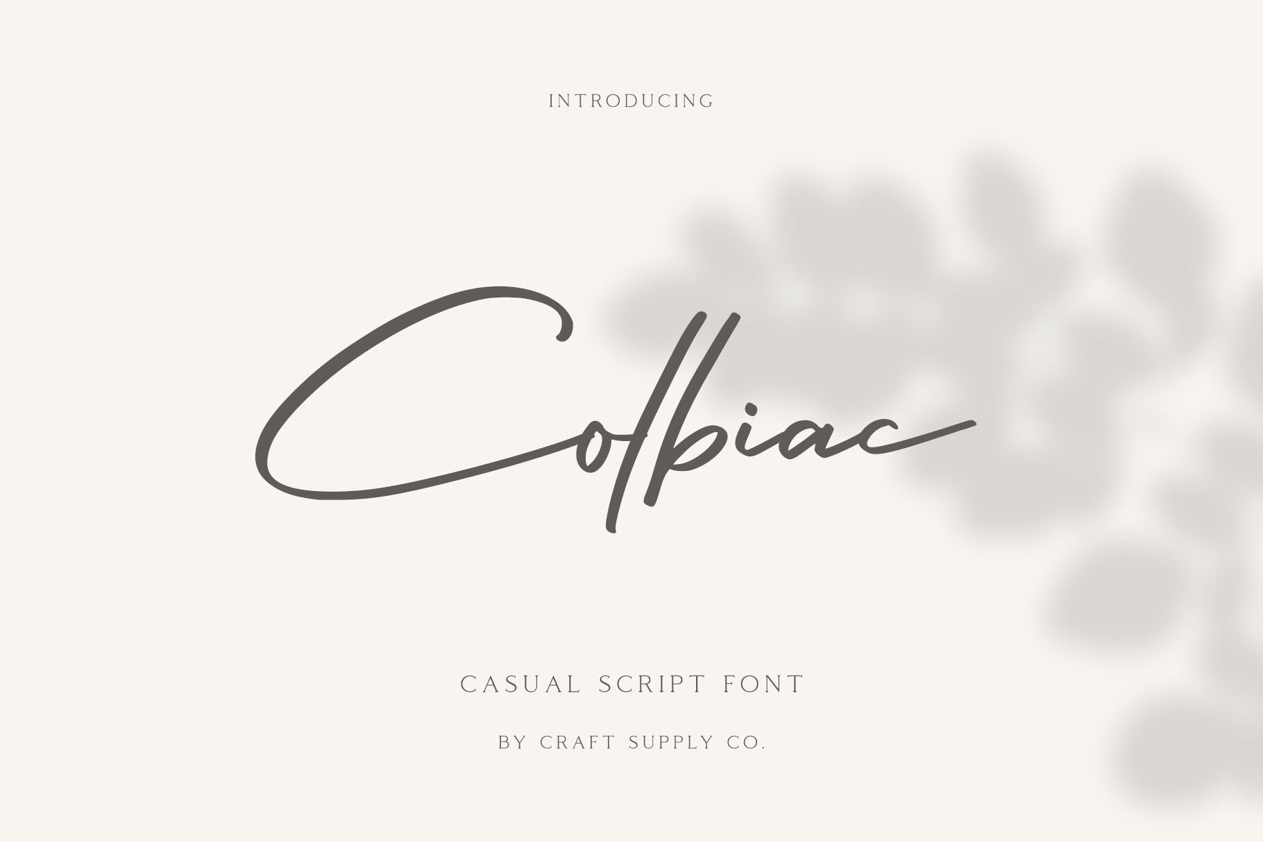 Colbiac Casual Script Font By Craft Supply Co Thehungryjpeg Com