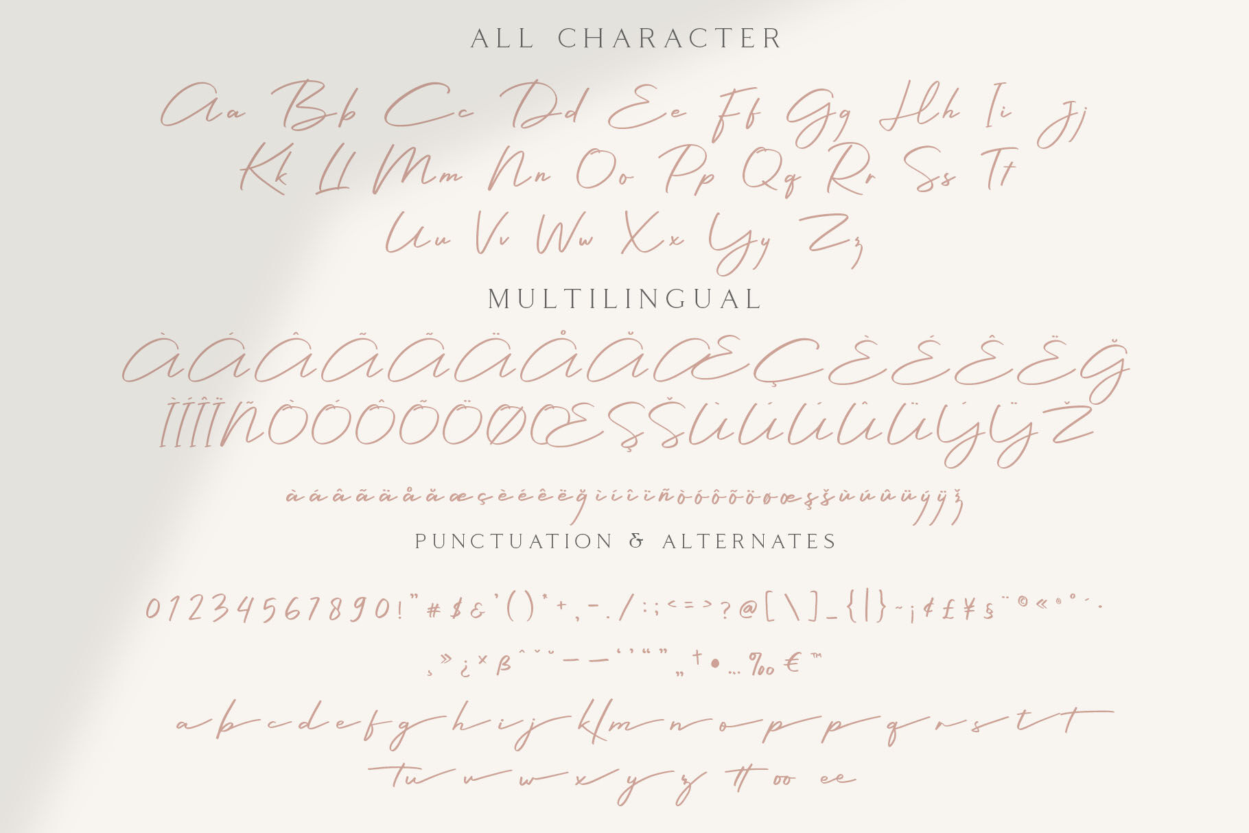 Colbiac Casual Script Font By Craft Supply Co Thehungryjpeg Com