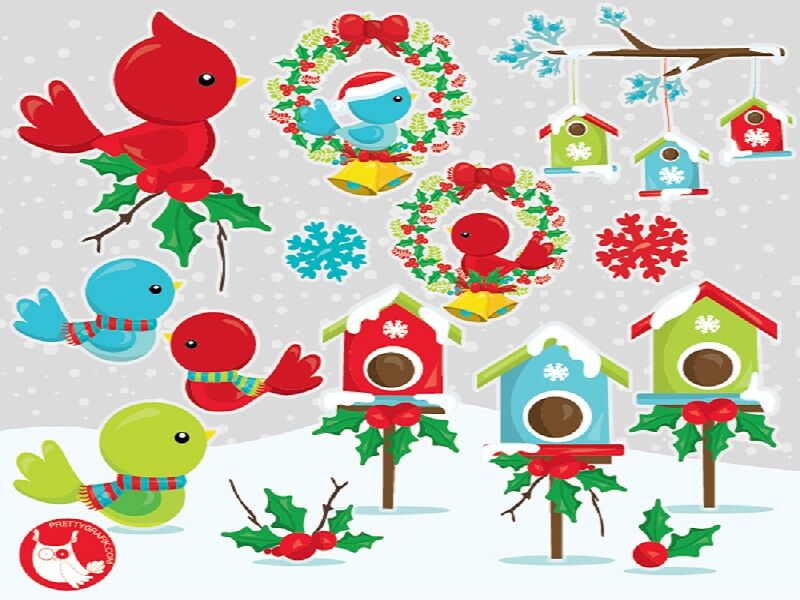 Christmas Bird Cliparts By Prettygrafik Design | TheHungryJPEG.com