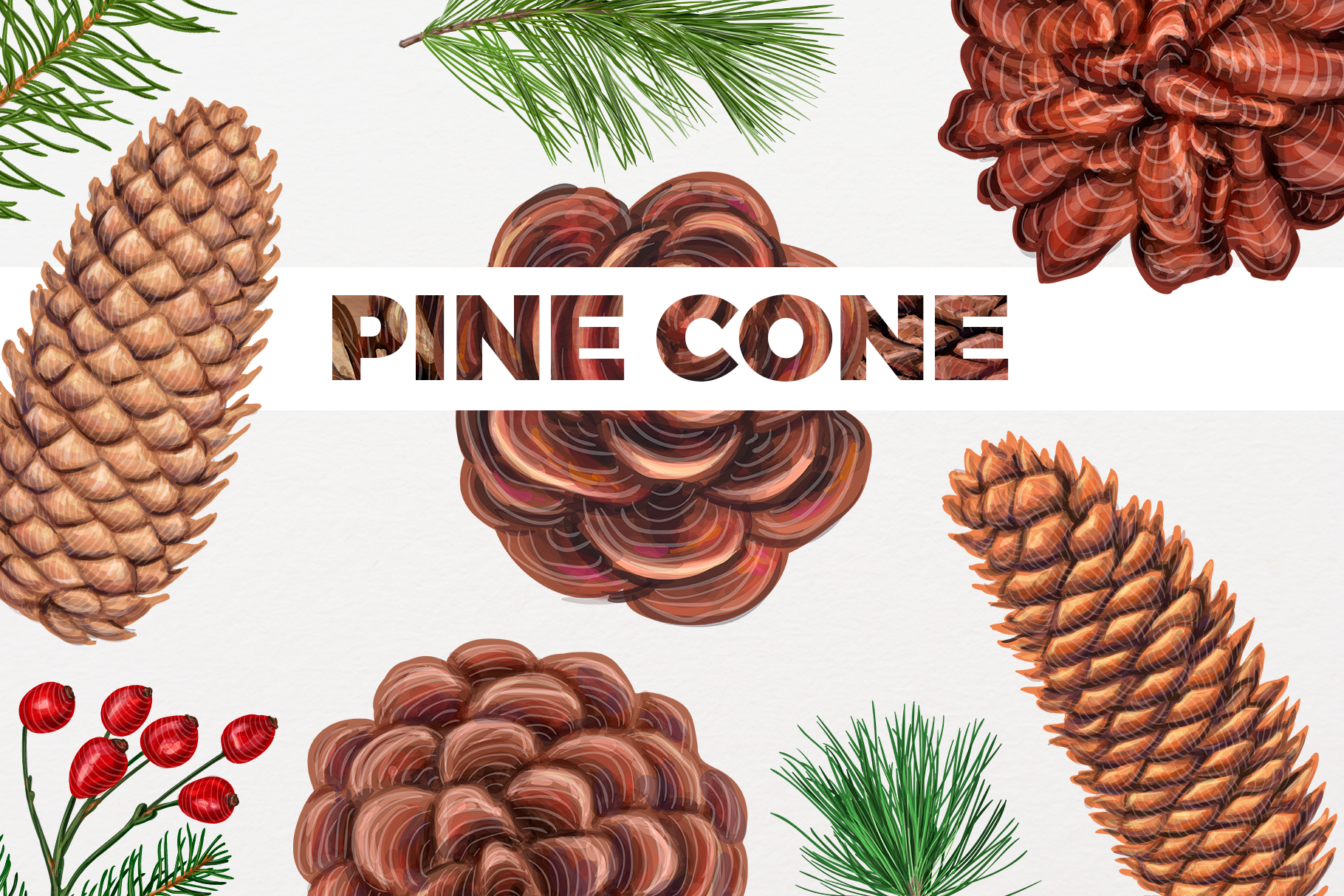Pine Cones And Branches By Natalkadmitrova Thehungryjpeg Com