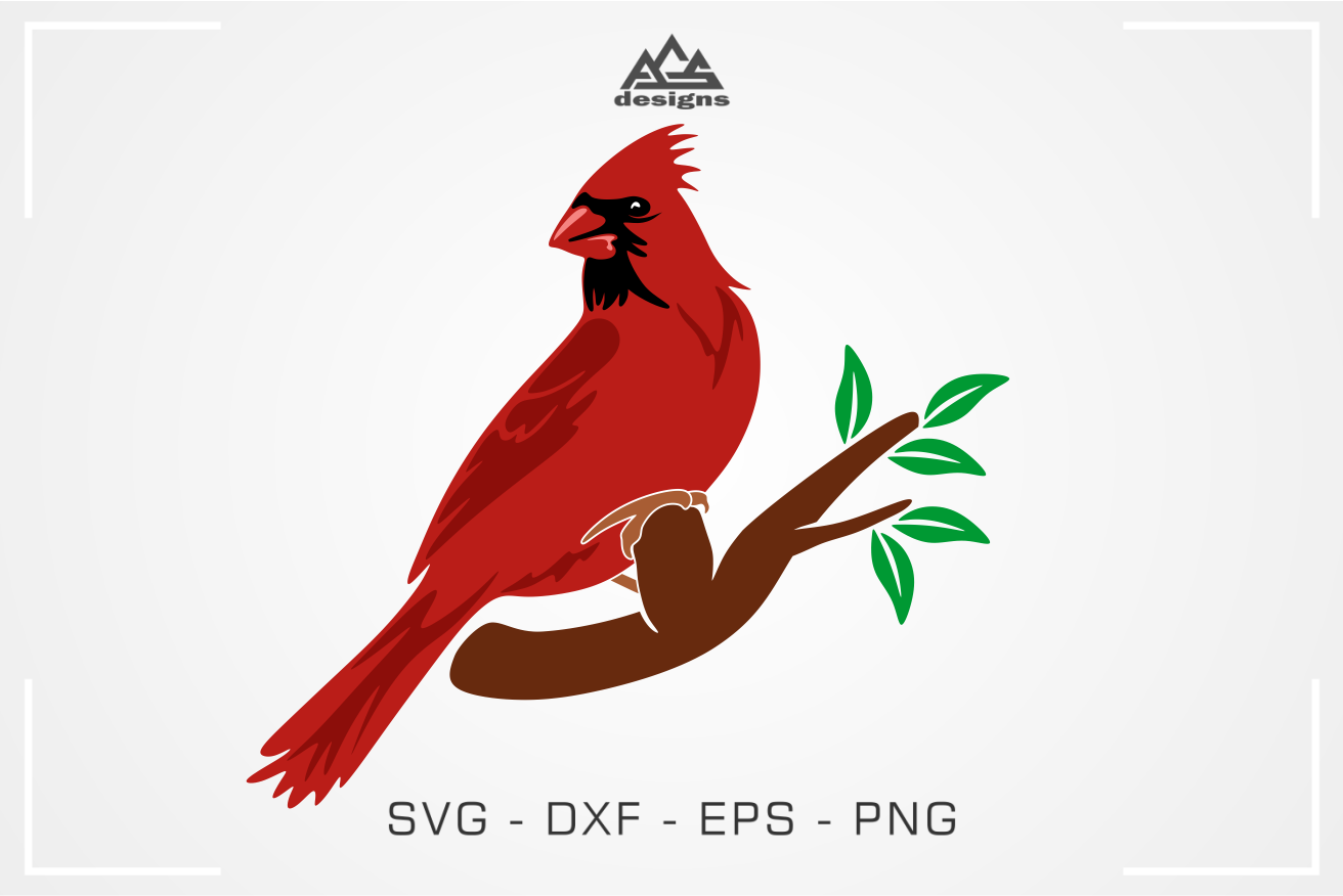 Download Cardinal Bird Pack Svg Design By AgsDesign | TheHungryJPEG.com