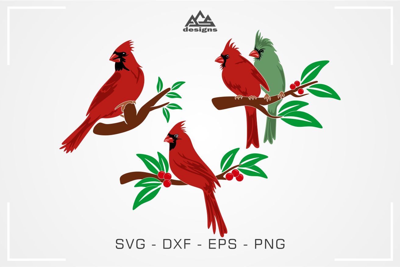 Cardinal Bird Pack Svg Design By Agsdesign Thehungryjpeg Com