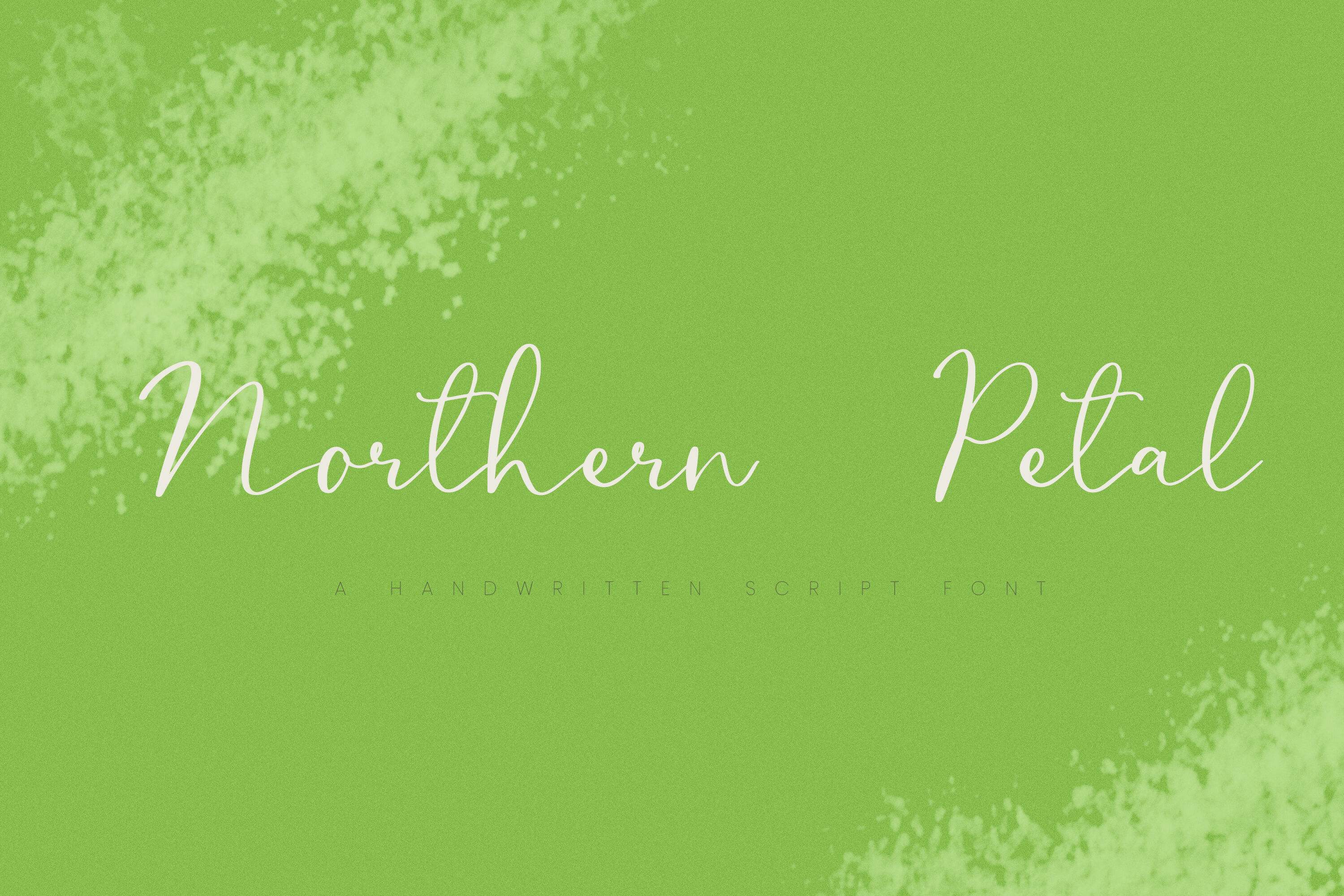 Northern Petal A Casual Script Font By Taningreen Thehungryjpeg Com