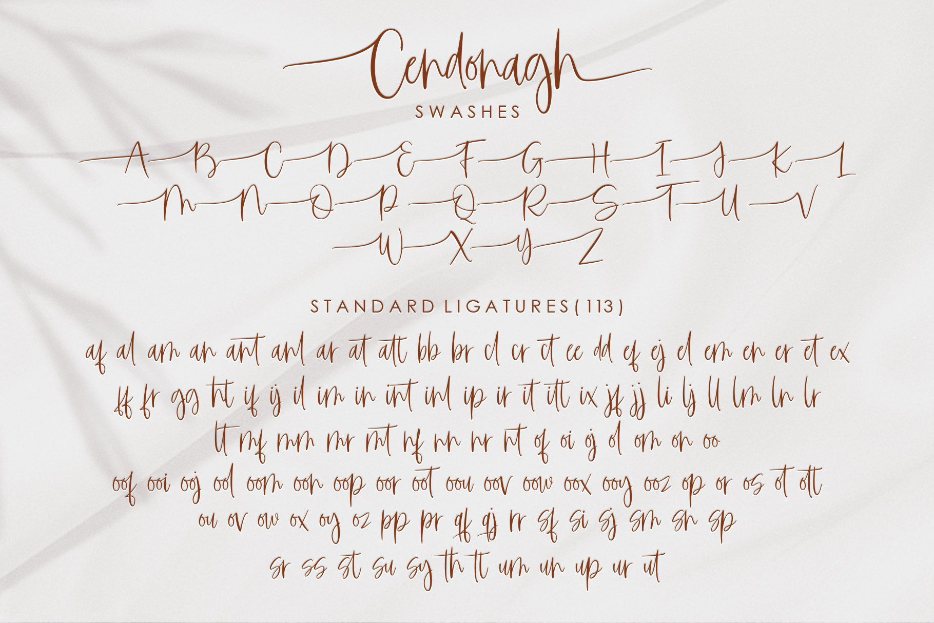 Cendonagh Script Font By Jhoeldesign Thehungryjpeg Com