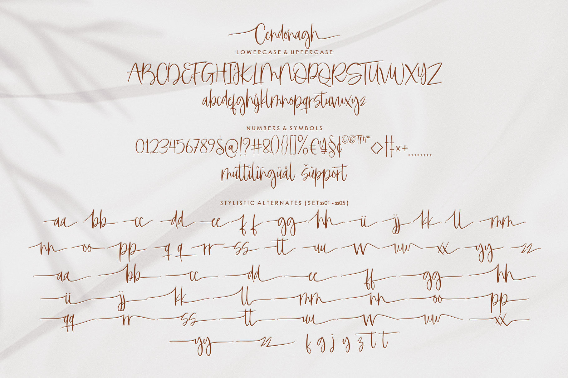 Cendonagh Script Font By JhoelDesign | TheHungryJPEG