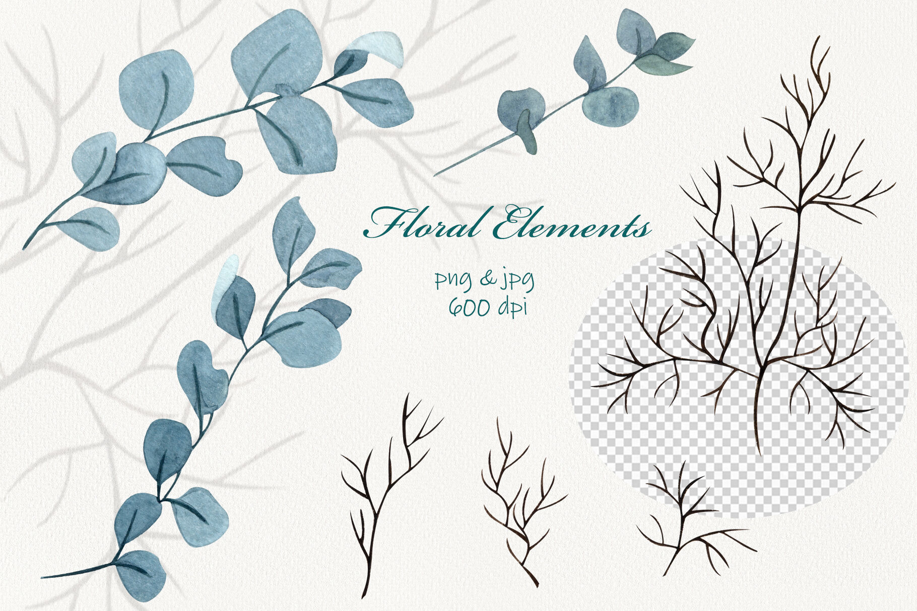 Watercolor Eucalyptus Twigs Png 600 Dpi By Barvart