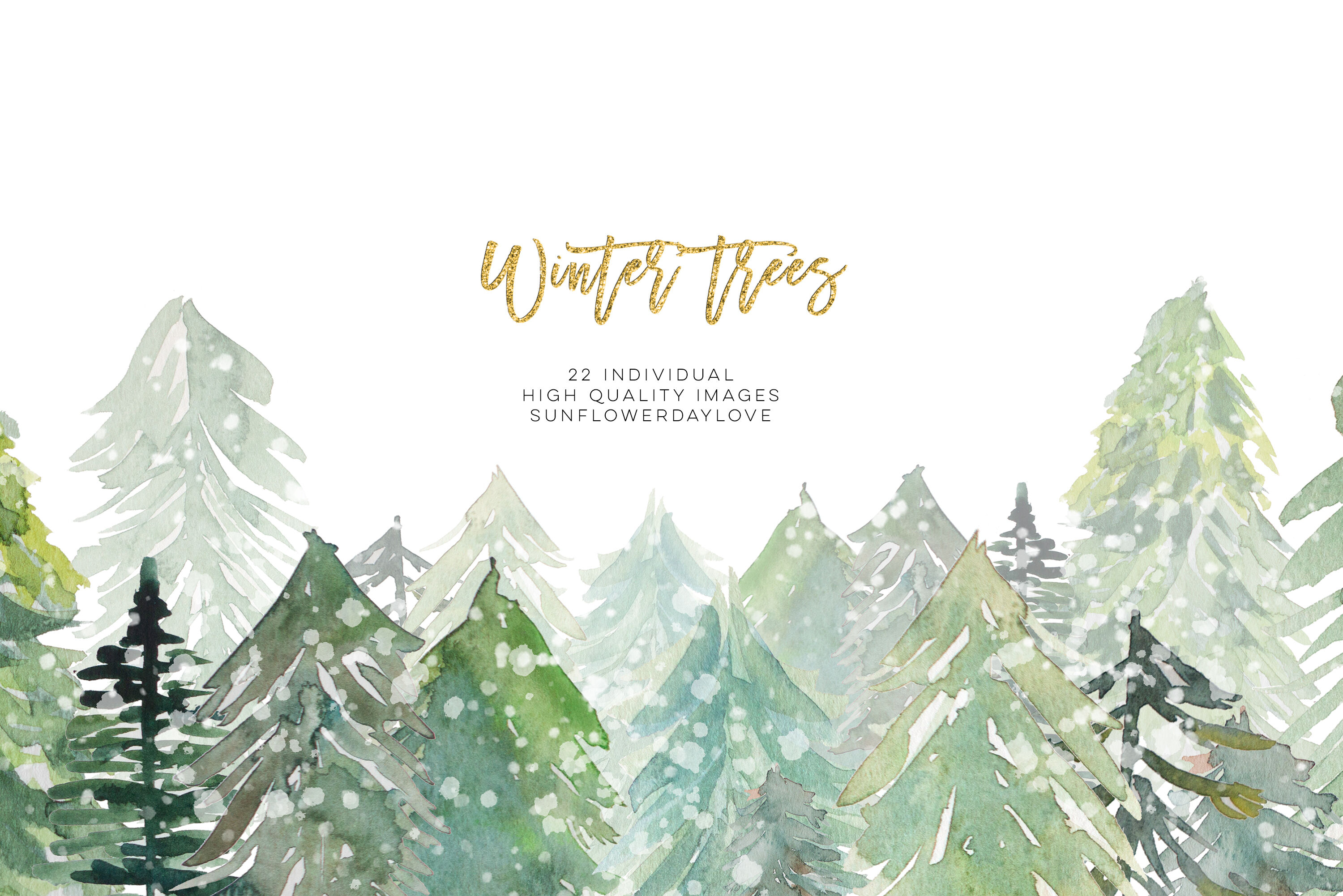 Conifer Forest Trees Clipart Fir Trees Clipart Watercolor Pine Trees By Sunflower Day Love Thehungryjpeg Com