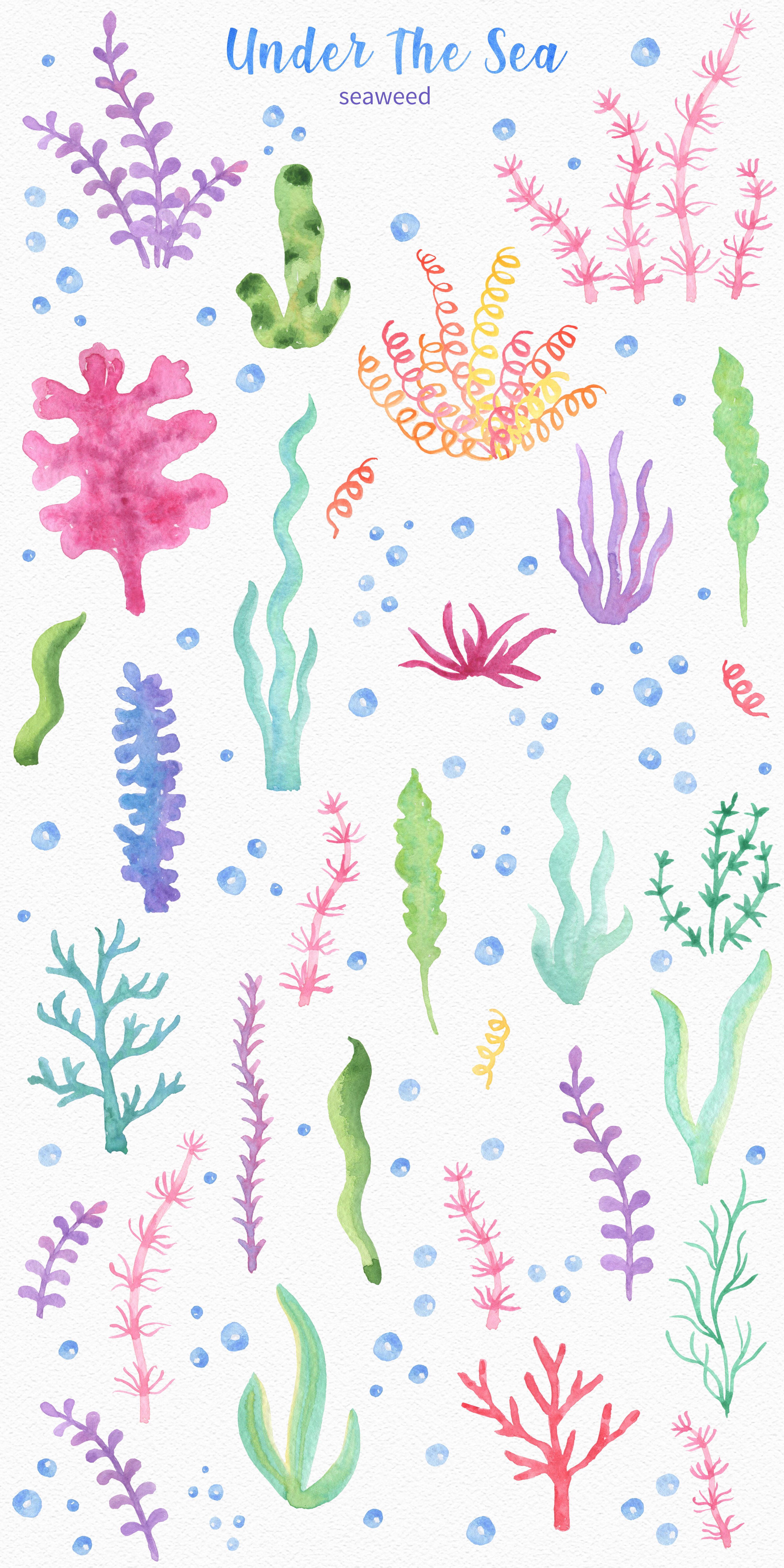 Under The Sea Watercolor Clipart By NewArtLife