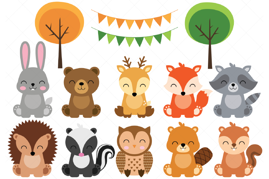 Woodland Baby Animals Clipart By ClipArtisan | TheHungryJPEG