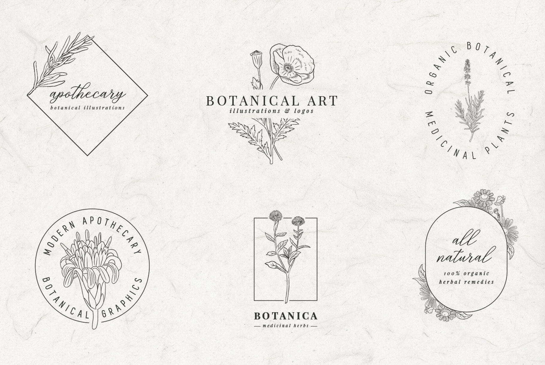 Botanical Apothecary Clipart Logos By Birdiy Design Thehungryjpeg Com