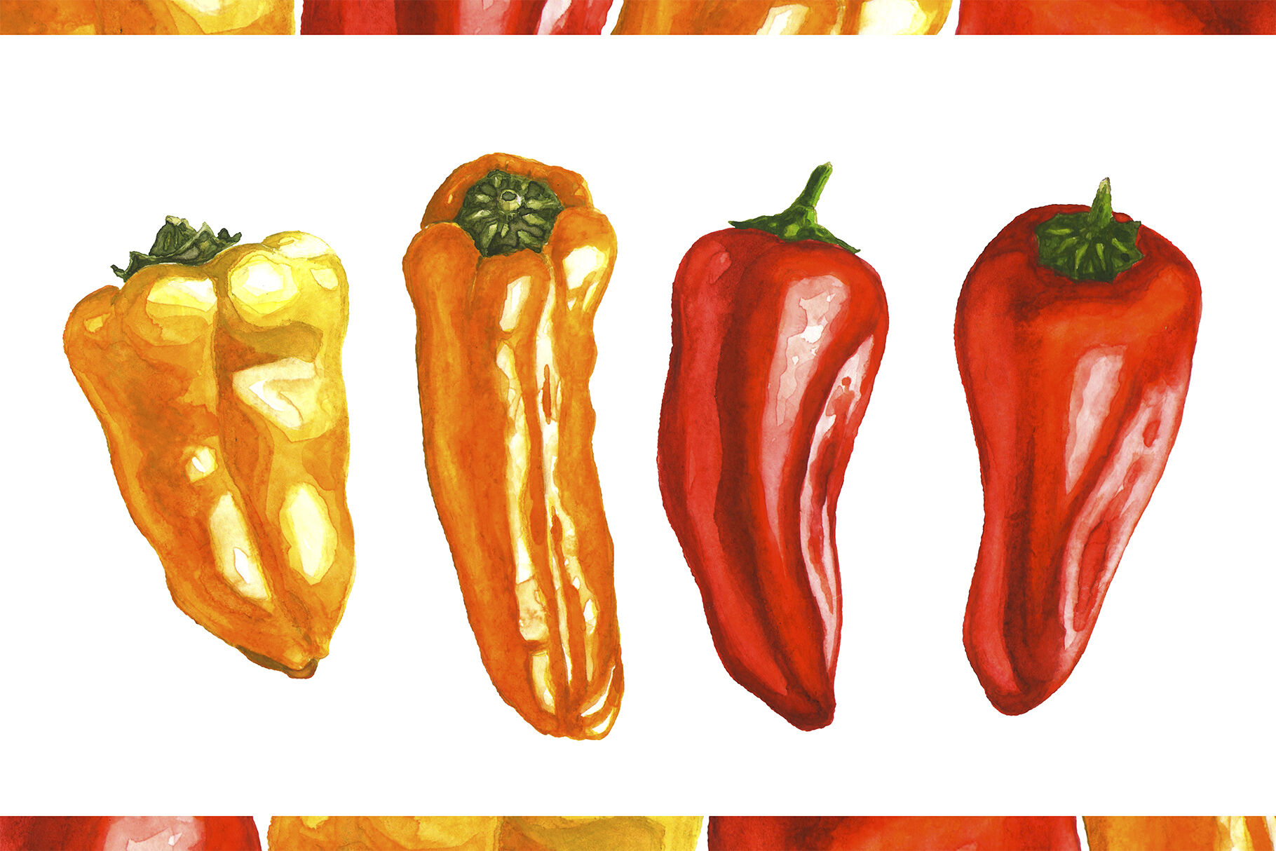 Mini Peppers. Hand drawn watercolor illustrations By Margo Miller