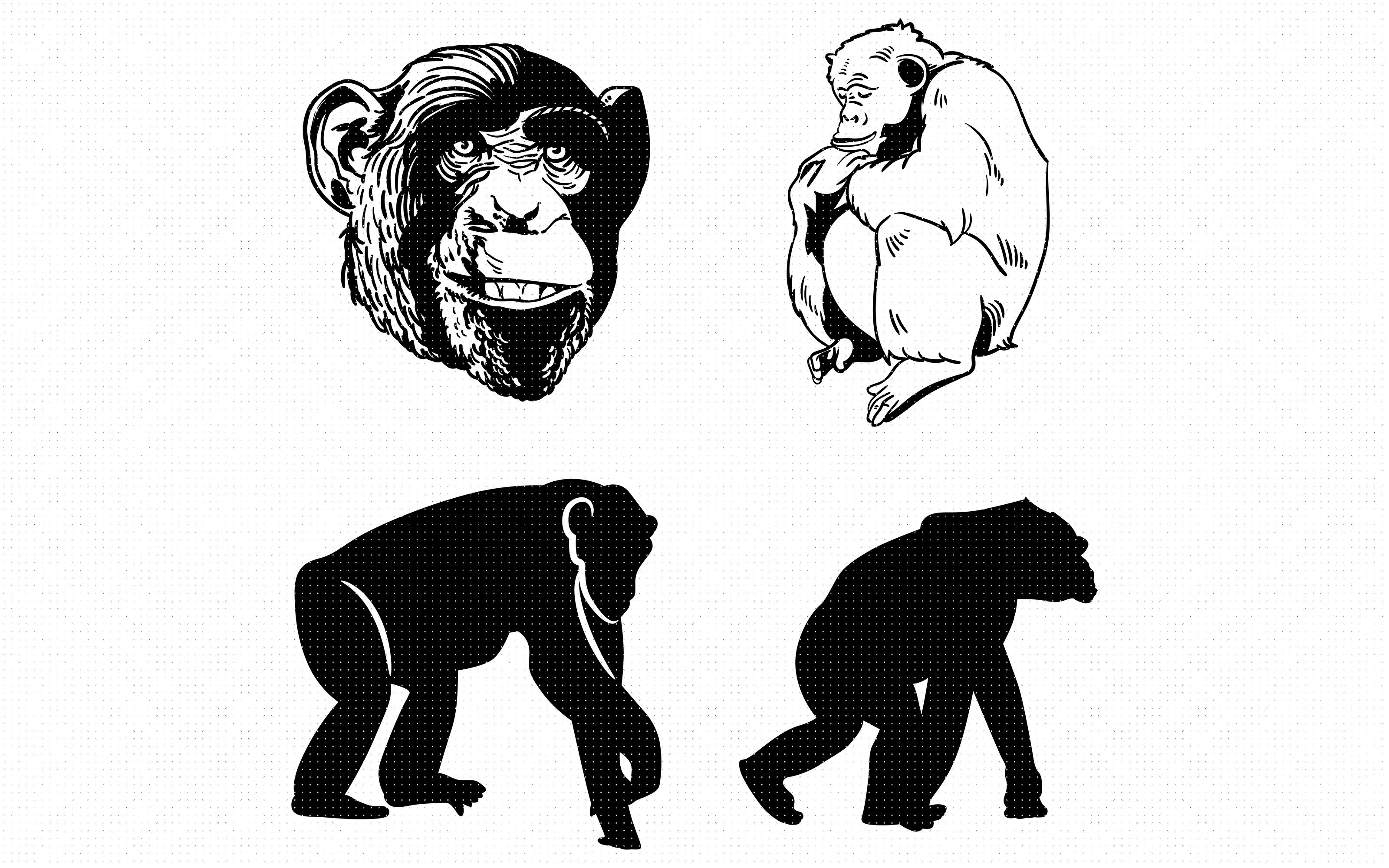 Download Monkey Chimp Svg Clipart By Crafteroks Thehungryjpeg Com