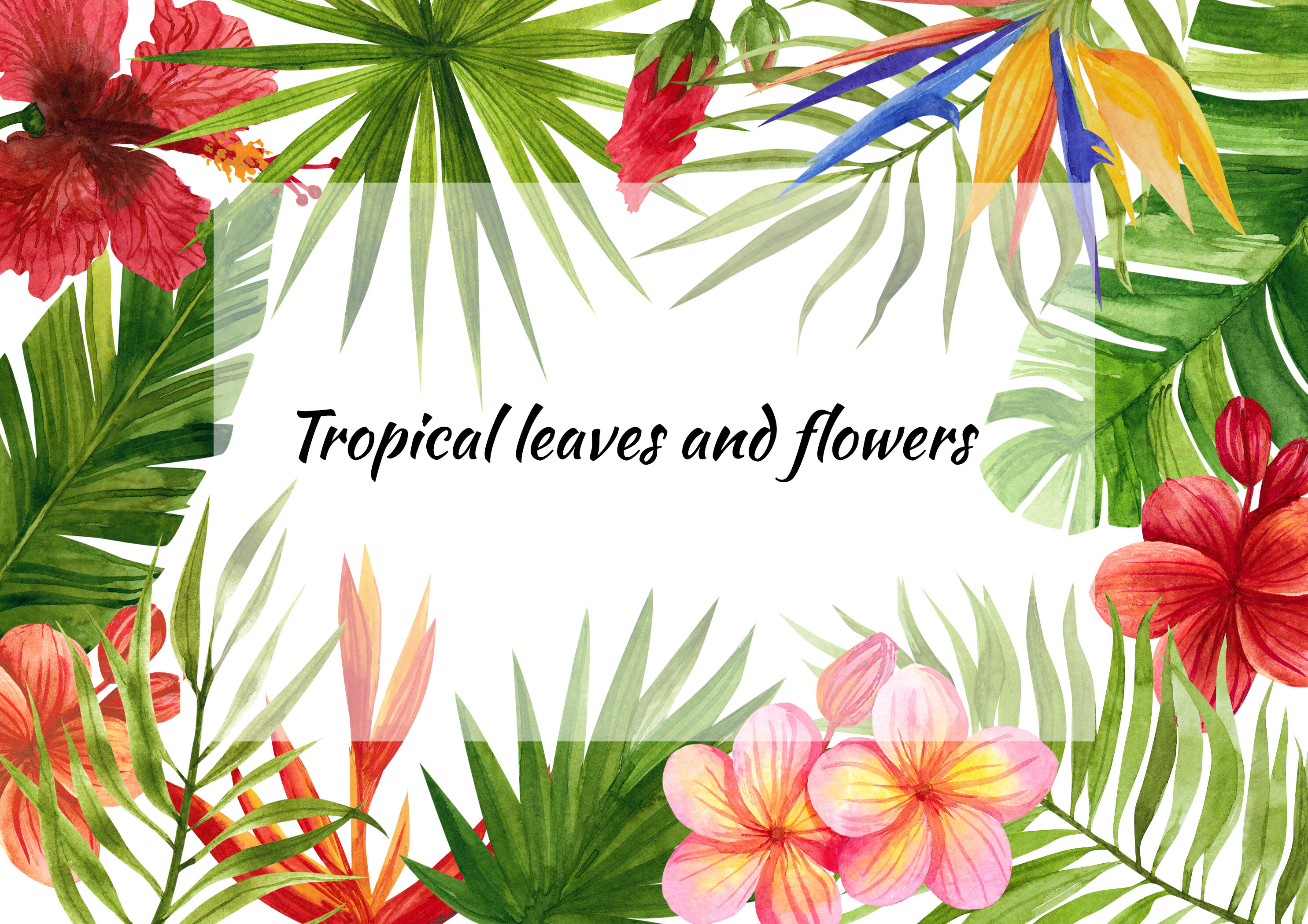 Download watercolor tropical leaves and flowers ,clip art. Digital ...