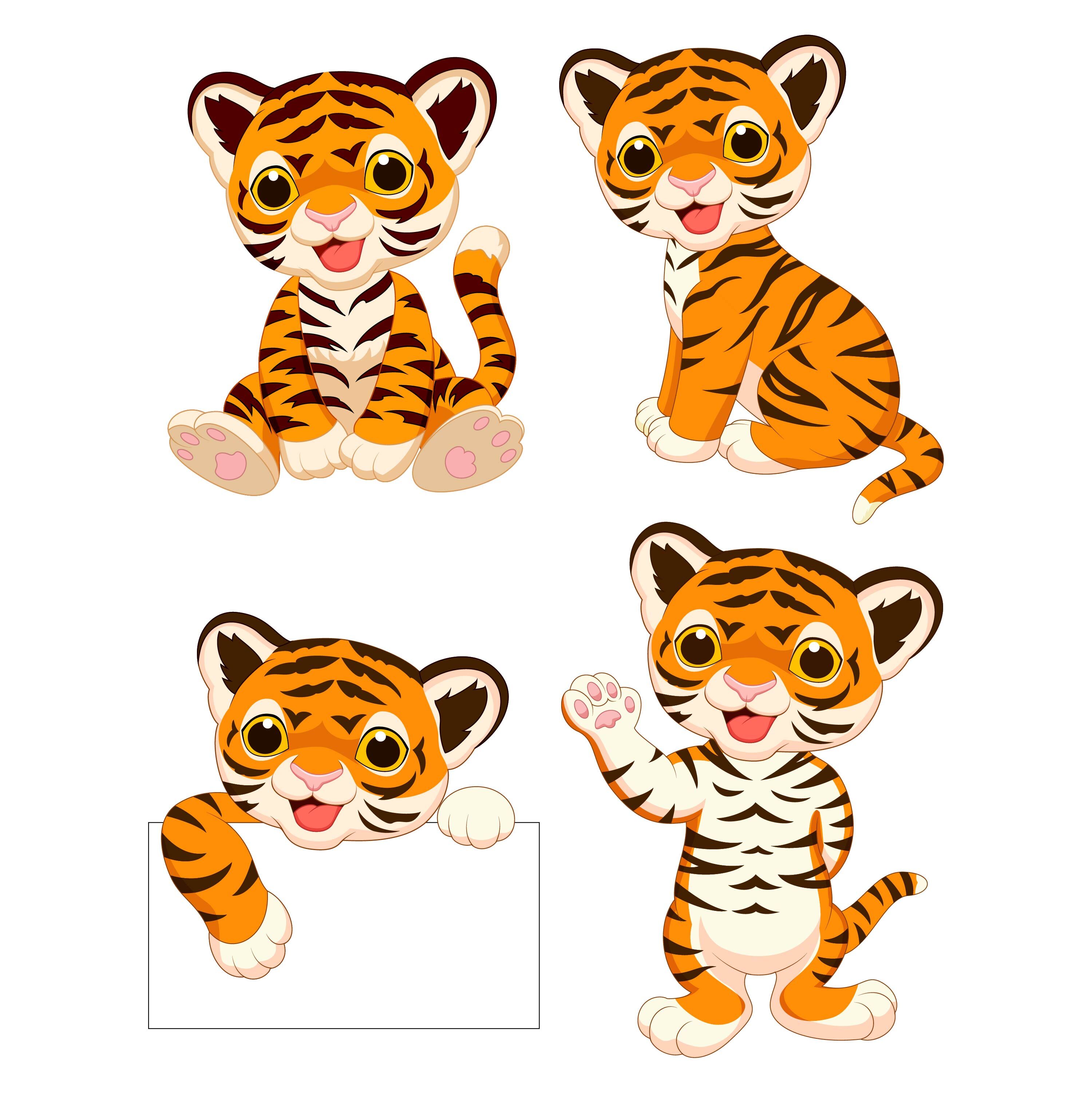 baby tiger cartoon images