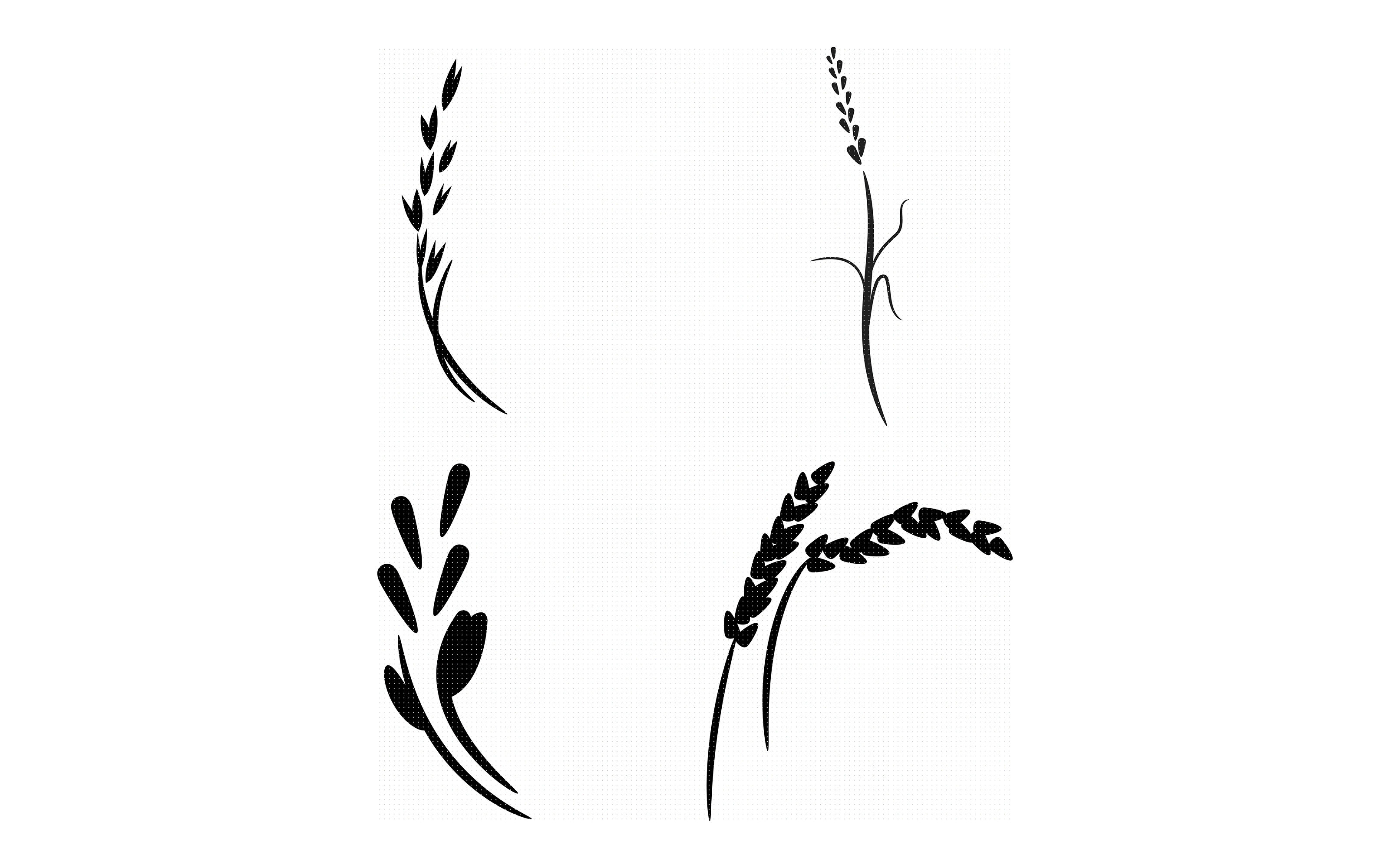 Download grain, oats, wheat, rice, cereal svg, dxf, vector, eps ...