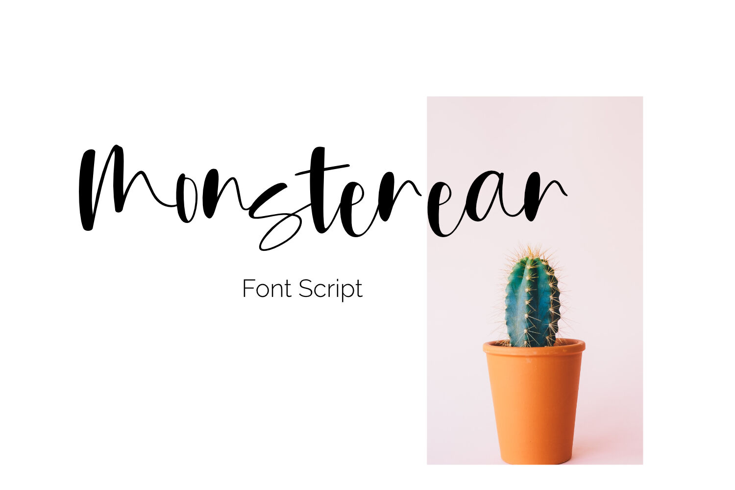 Monsterear Font Script By Fauzystore Thehungryjpeg Com