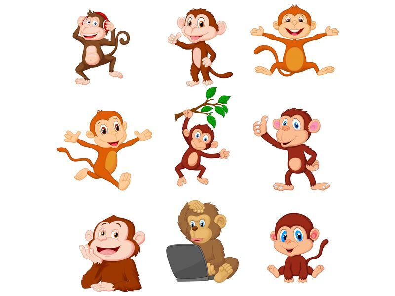 Cartoon Monkey Collection By tigatelu | TheHungryJPEG.com