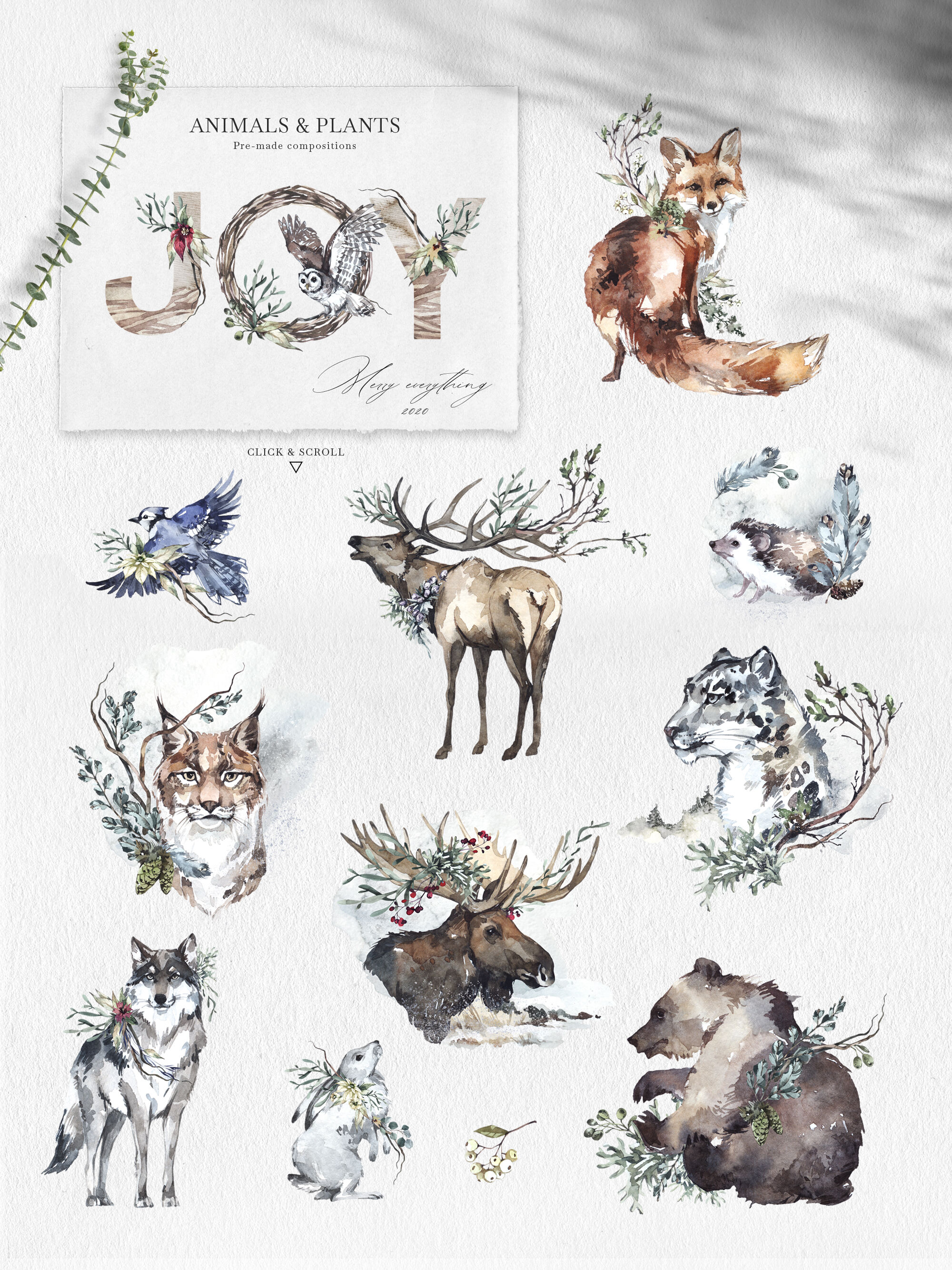 forest animal set