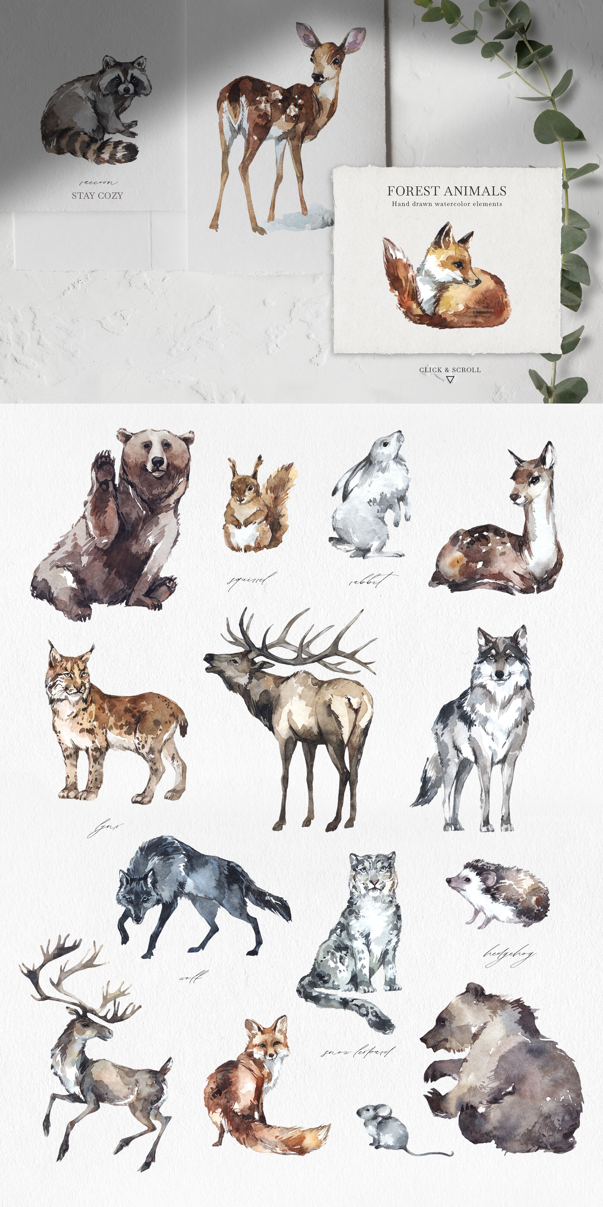 forest animal set