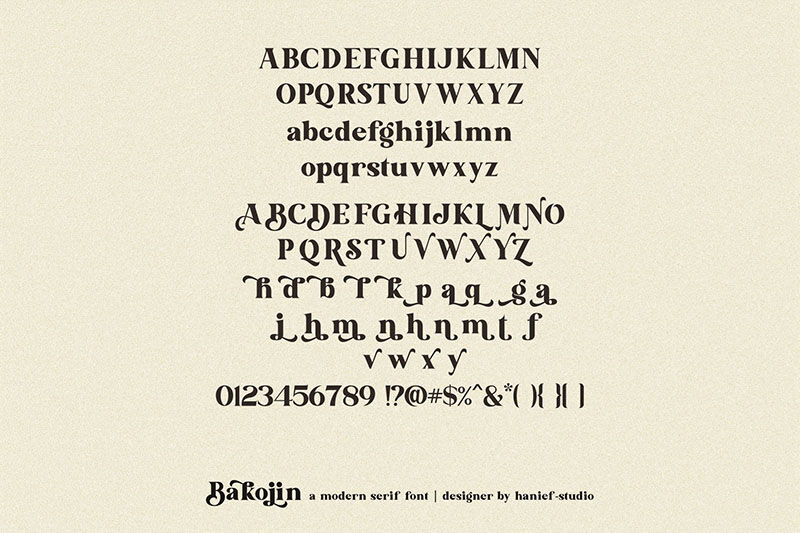 Bakojin//Modern Serif Font By HanzelStudio | TheHungryJPEG