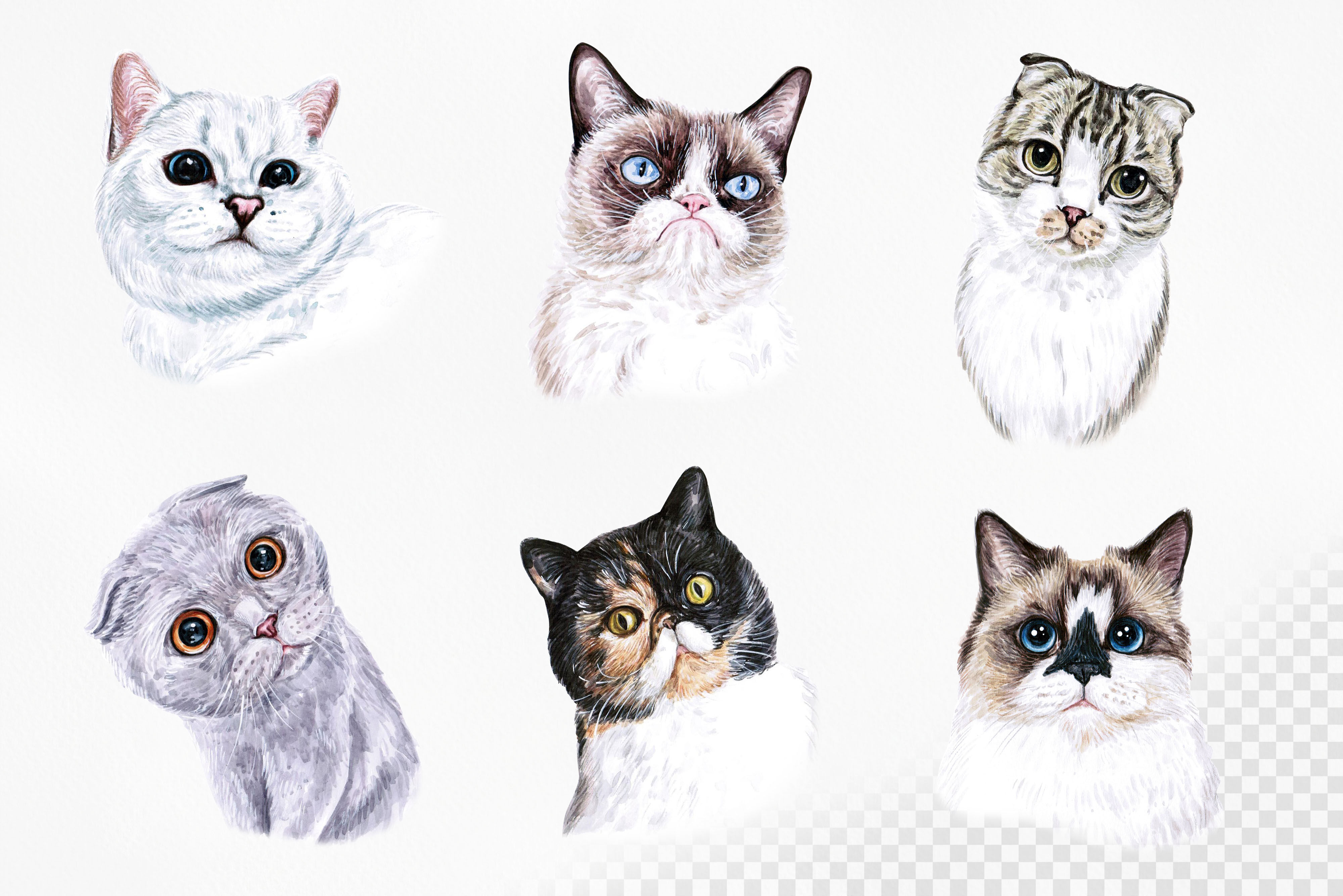 Download PART 1. Watercolor cat illustrations. Cute 12 cats. Kitty ...