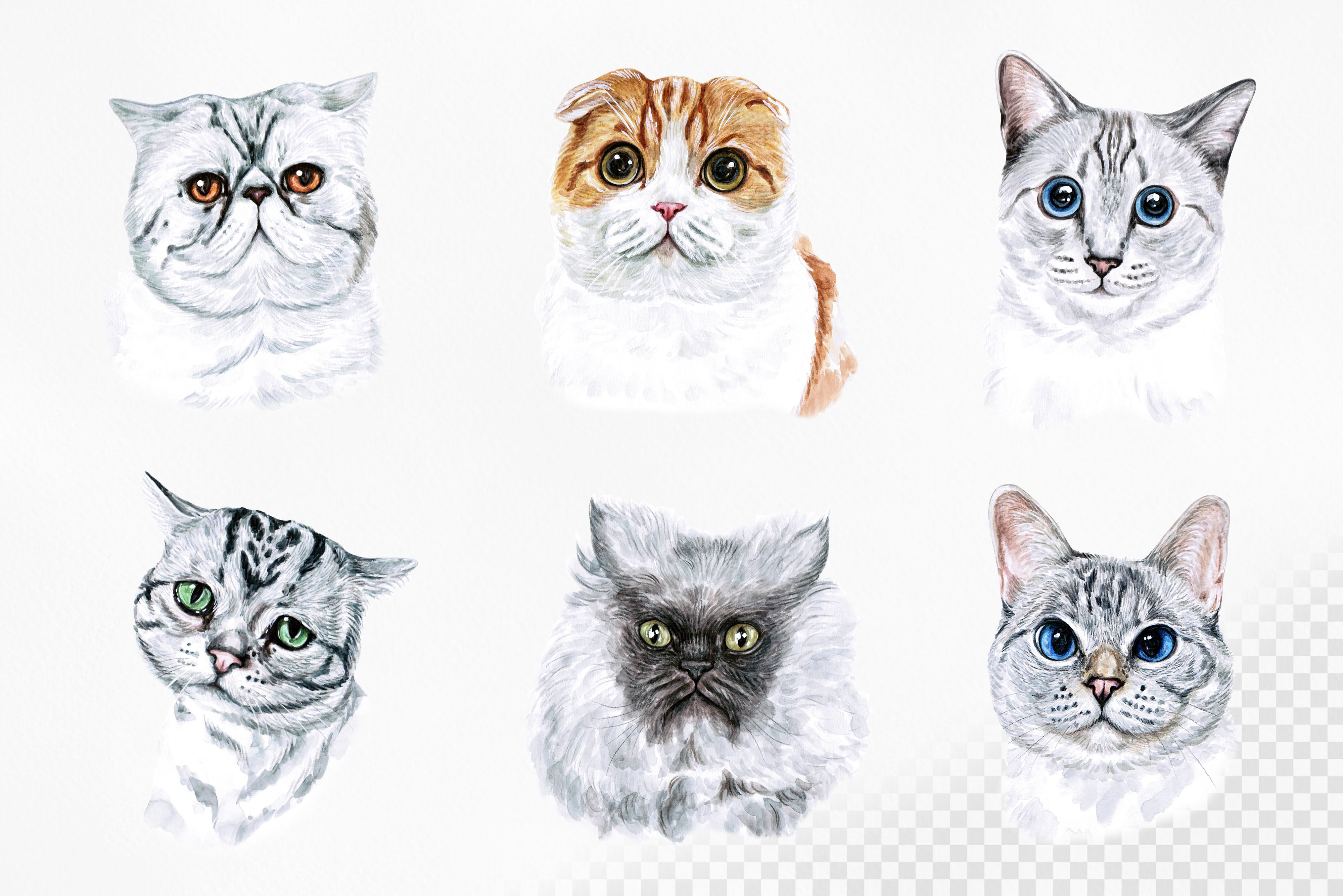 Download PART 1. Watercolor cat illustrations. Cute 12 cats. Kitty ...