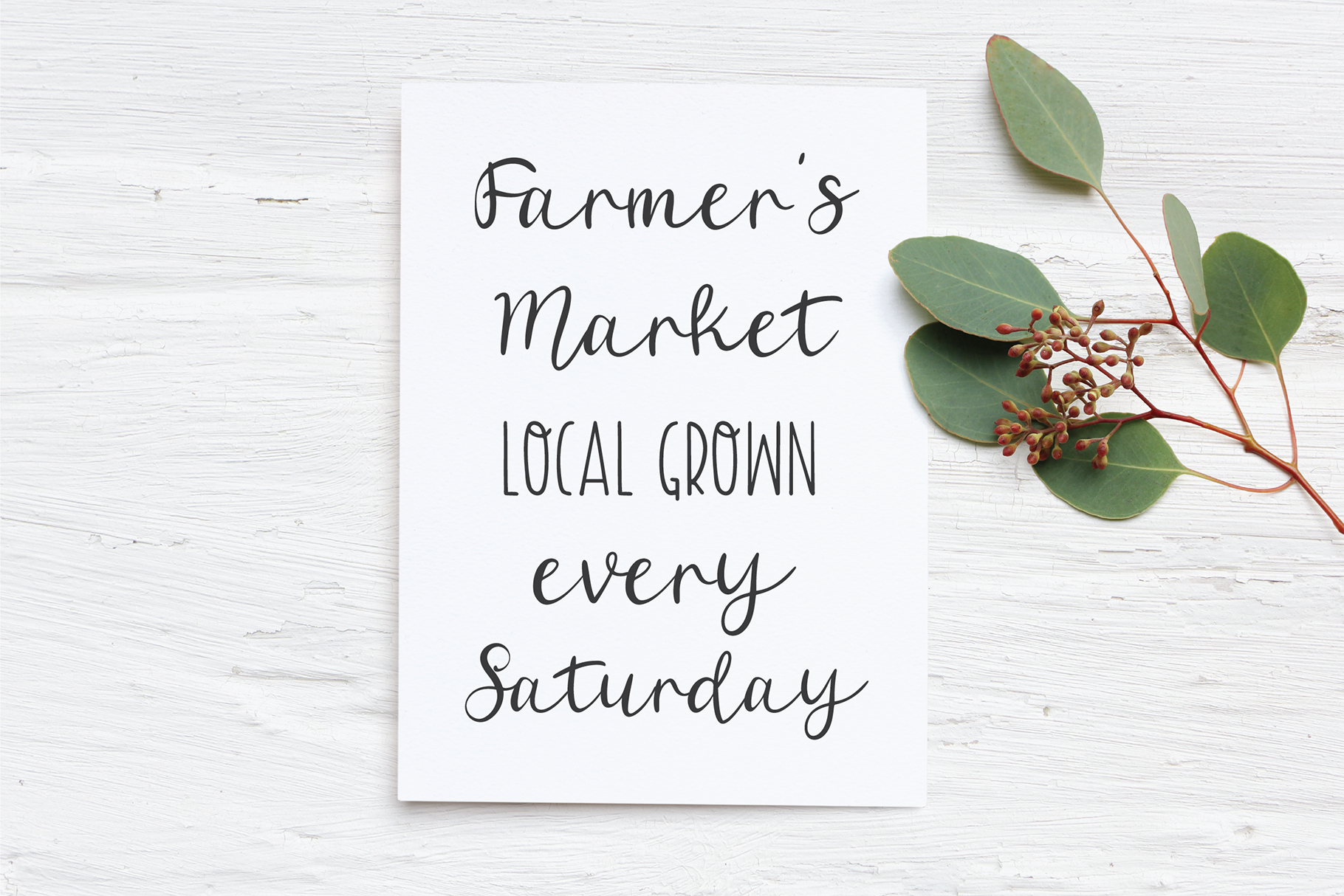 A Fabulous Collection of Free Script Fonts - The Cottage Market