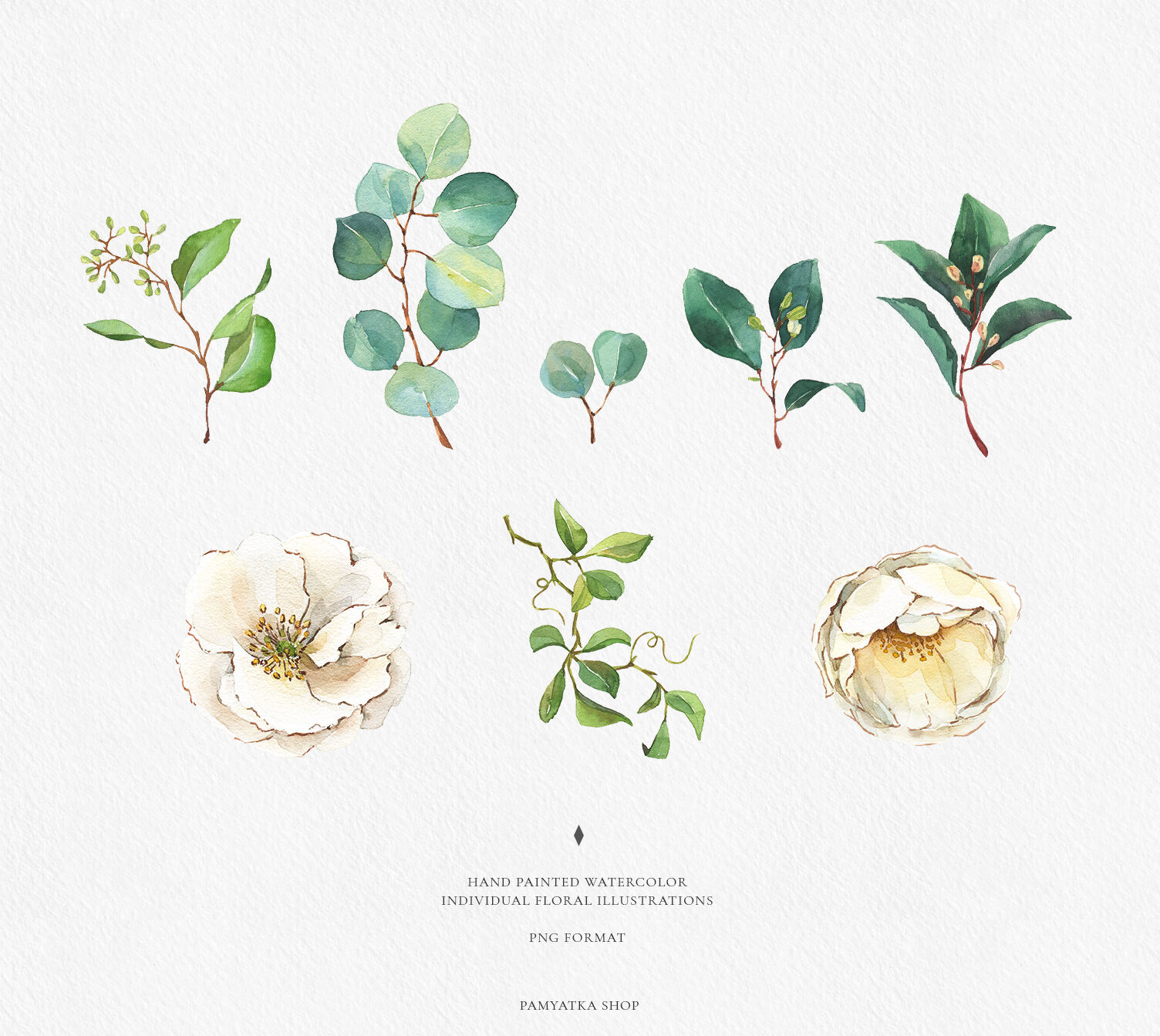 Download Watercolor White Flowers Greenery By Pamyatka Thehungryjpeg Com
