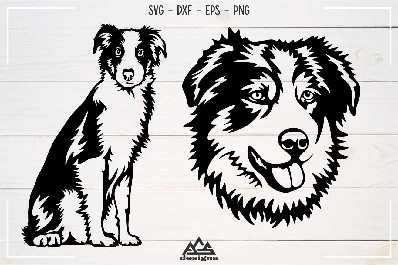 Download Dog Australian Shepherd Svg Design By Agsdesign Thehungryjpeg Com