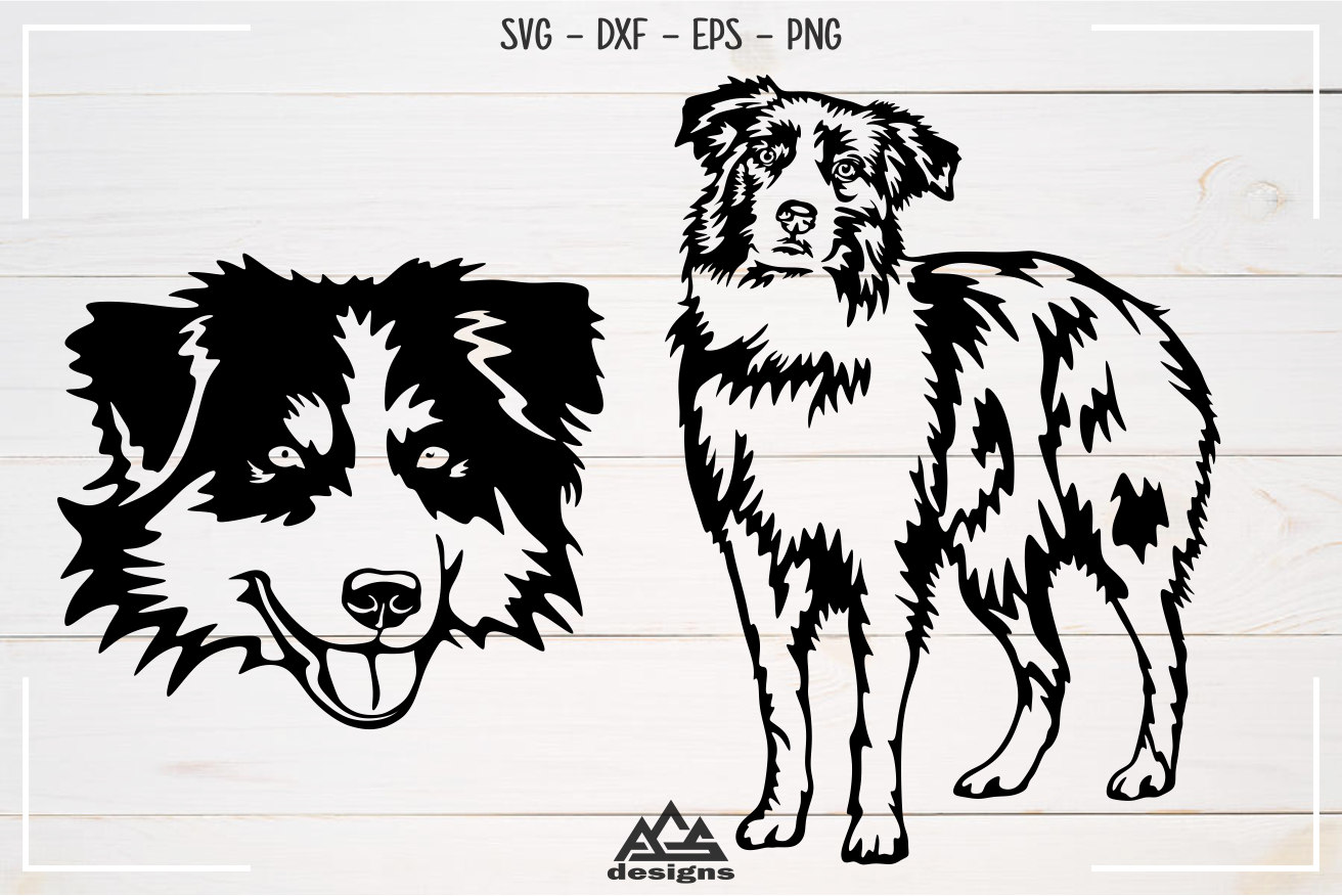 Download Dog Australian Shepherd Svg Design By Agsdesign Thehungryjpeg Com