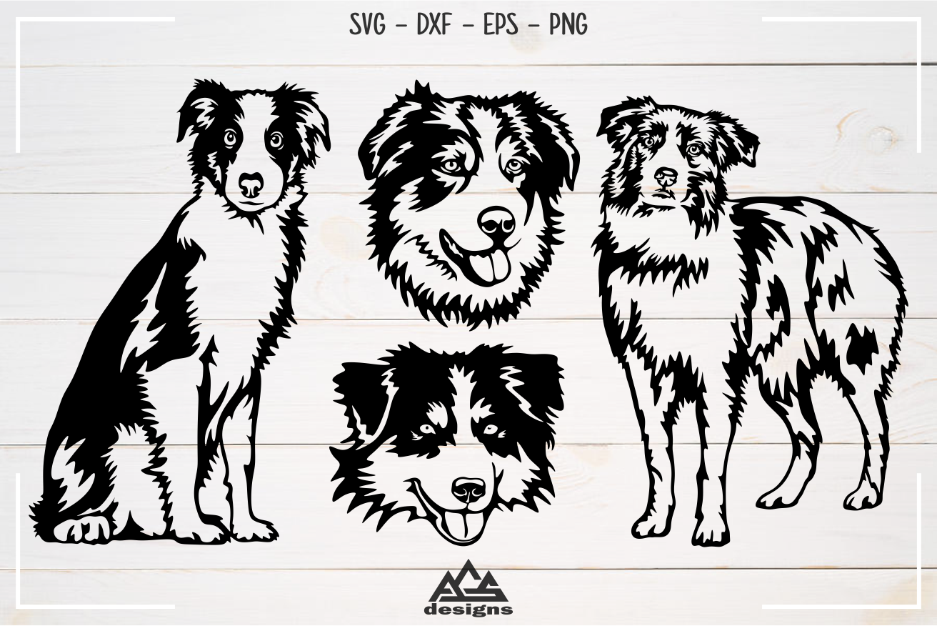 Dog Australian Shepherd Svg Design By AgsDesign | TheHungryJPEG