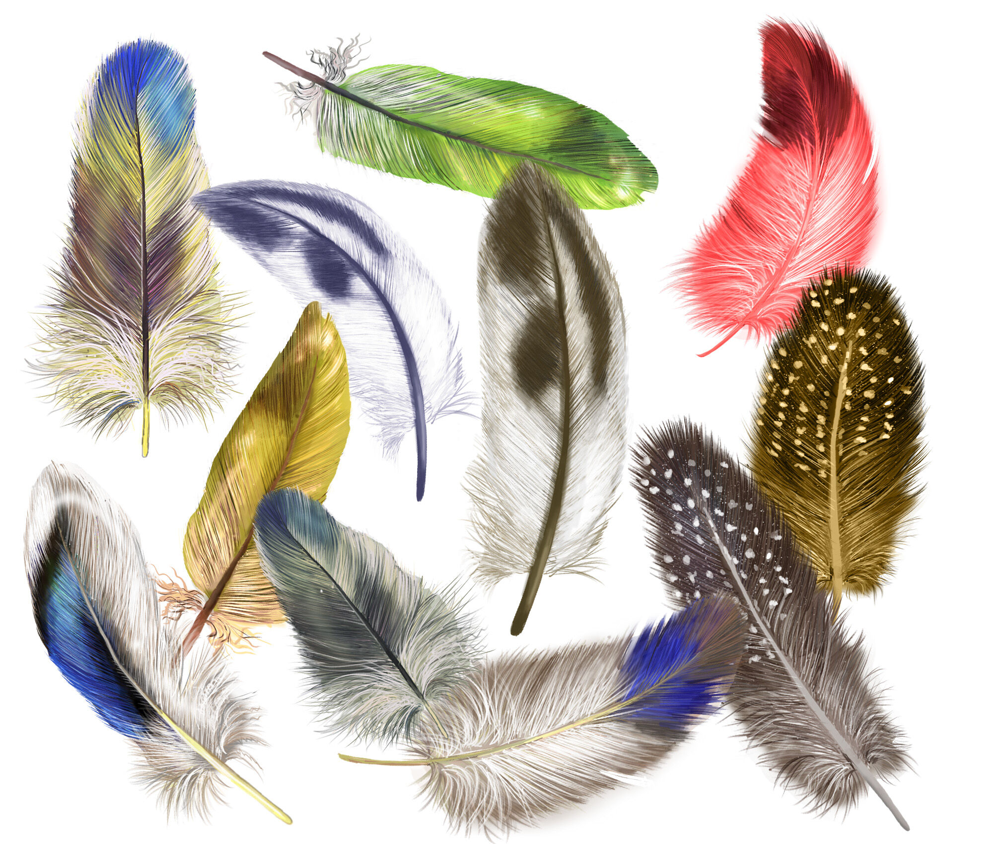 Feathers Clip Art Hand Painted Clipart Boho Feather Clipart Hot Sex ...