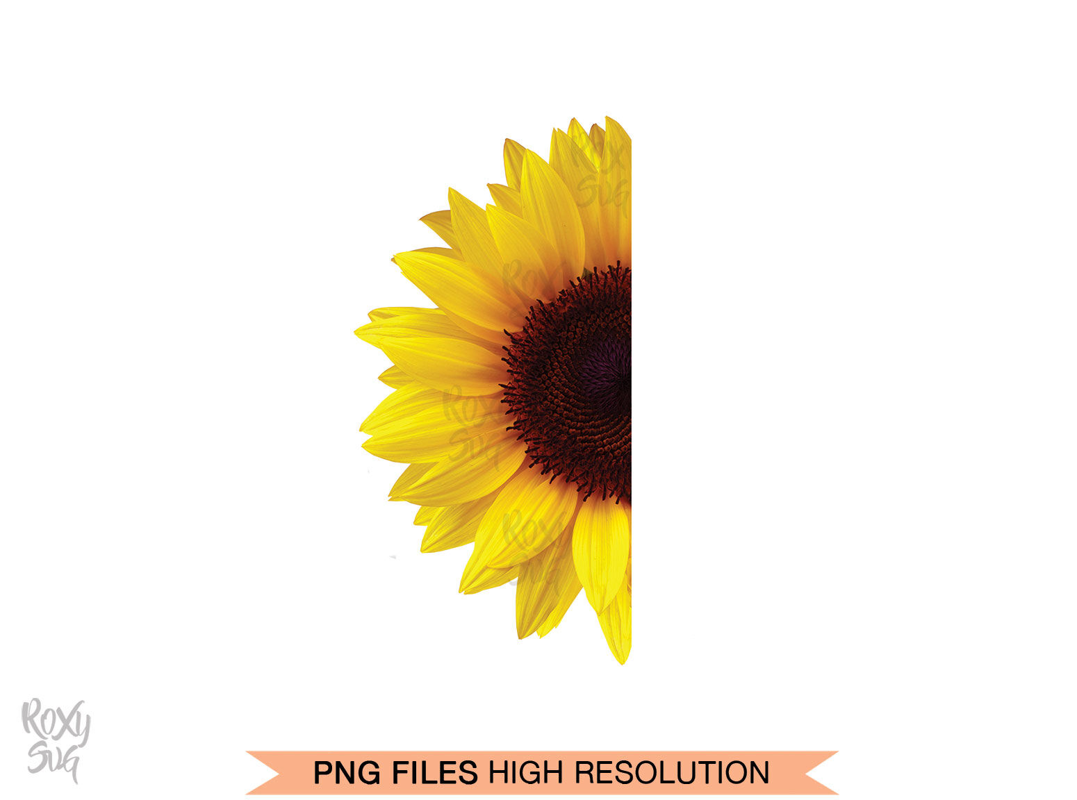 Download Half Sunflower, Whole Sunflower, Sunflower Clipart By ...