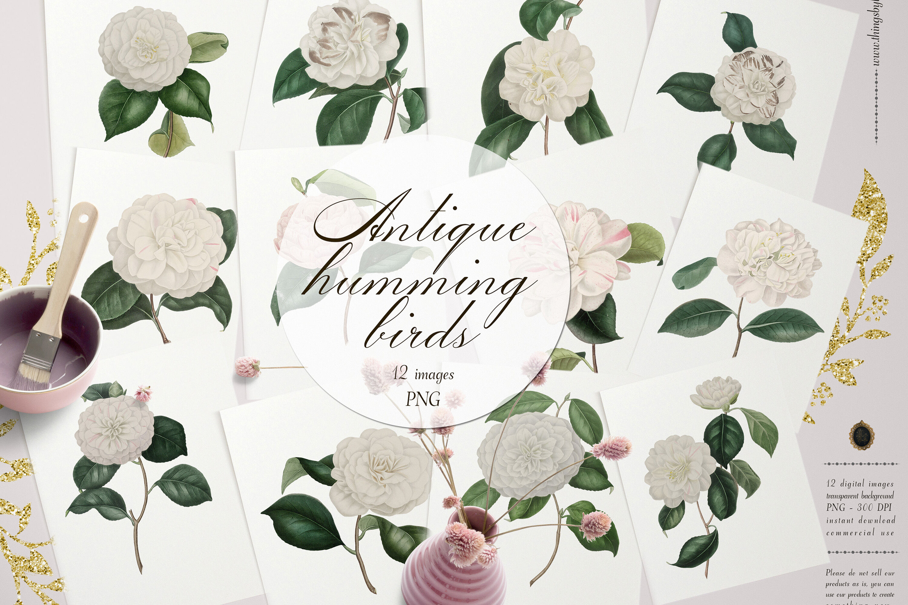 12 Vintage White Camellias Ephemera Transparent Images Png By Artinsider Thehungryjpeg Com