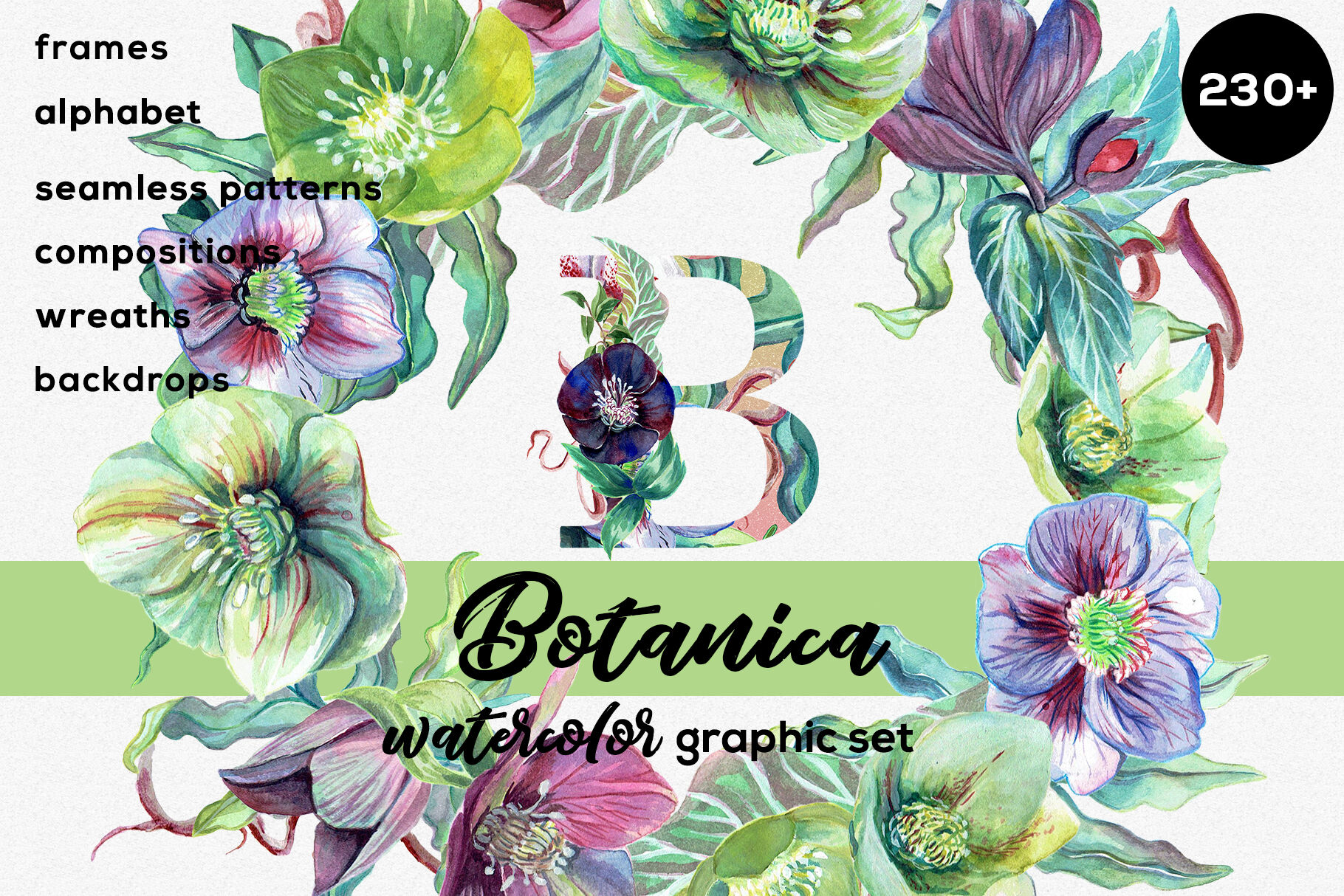 Big Botanica Watercolor Graphic Set Patterns Frames Alphabet Wreat By Sunny Afternoons Thehungryjpeg Com