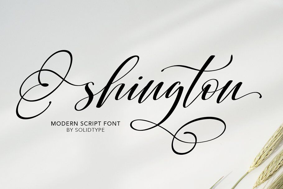 Shington Script By Solidtype Thehungryjpeg Com