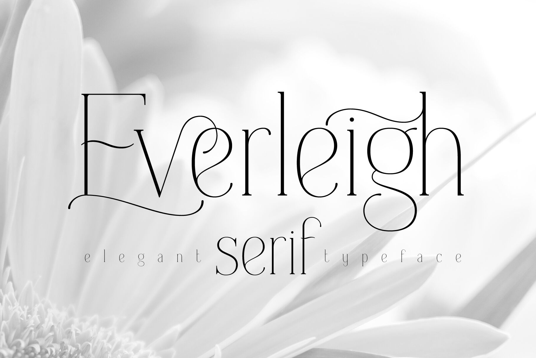 Everleigh Serif Font By Gleb Natasha Guralnyk Thehungryjpeg Com