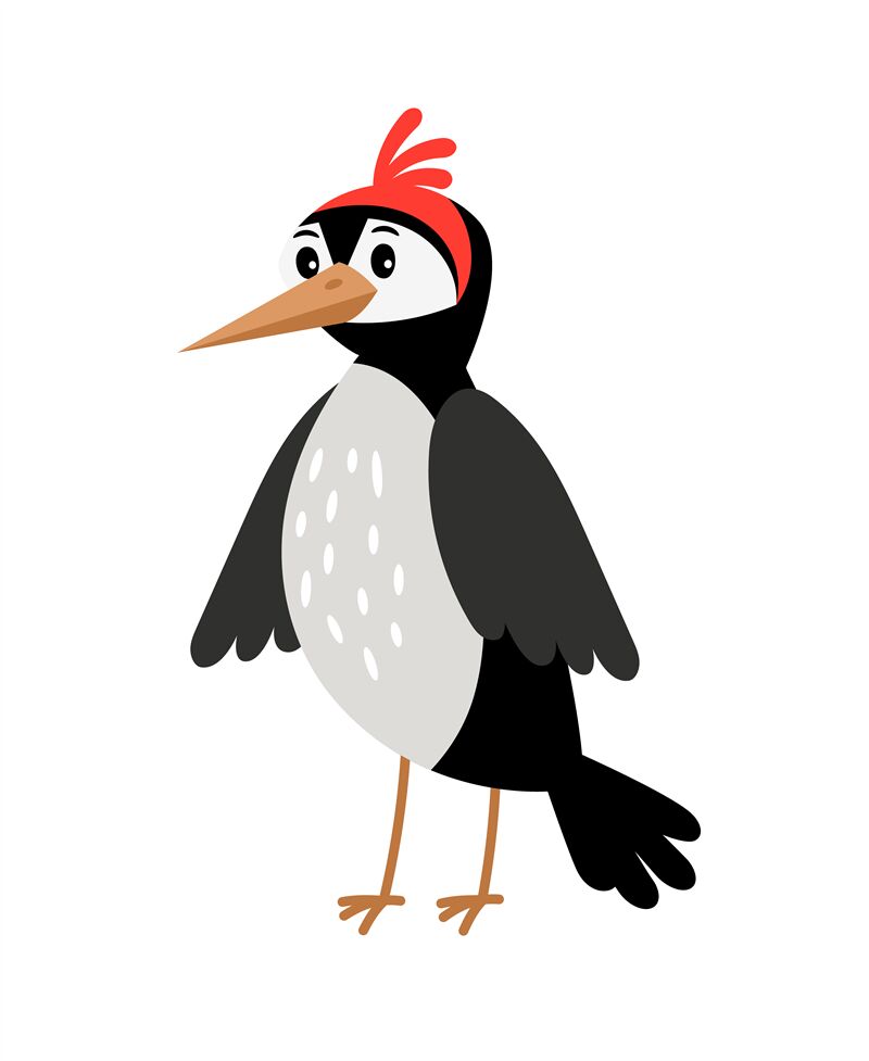 Woodpecker cartoon bird By SmartStartStocker | TheHungryJPEG